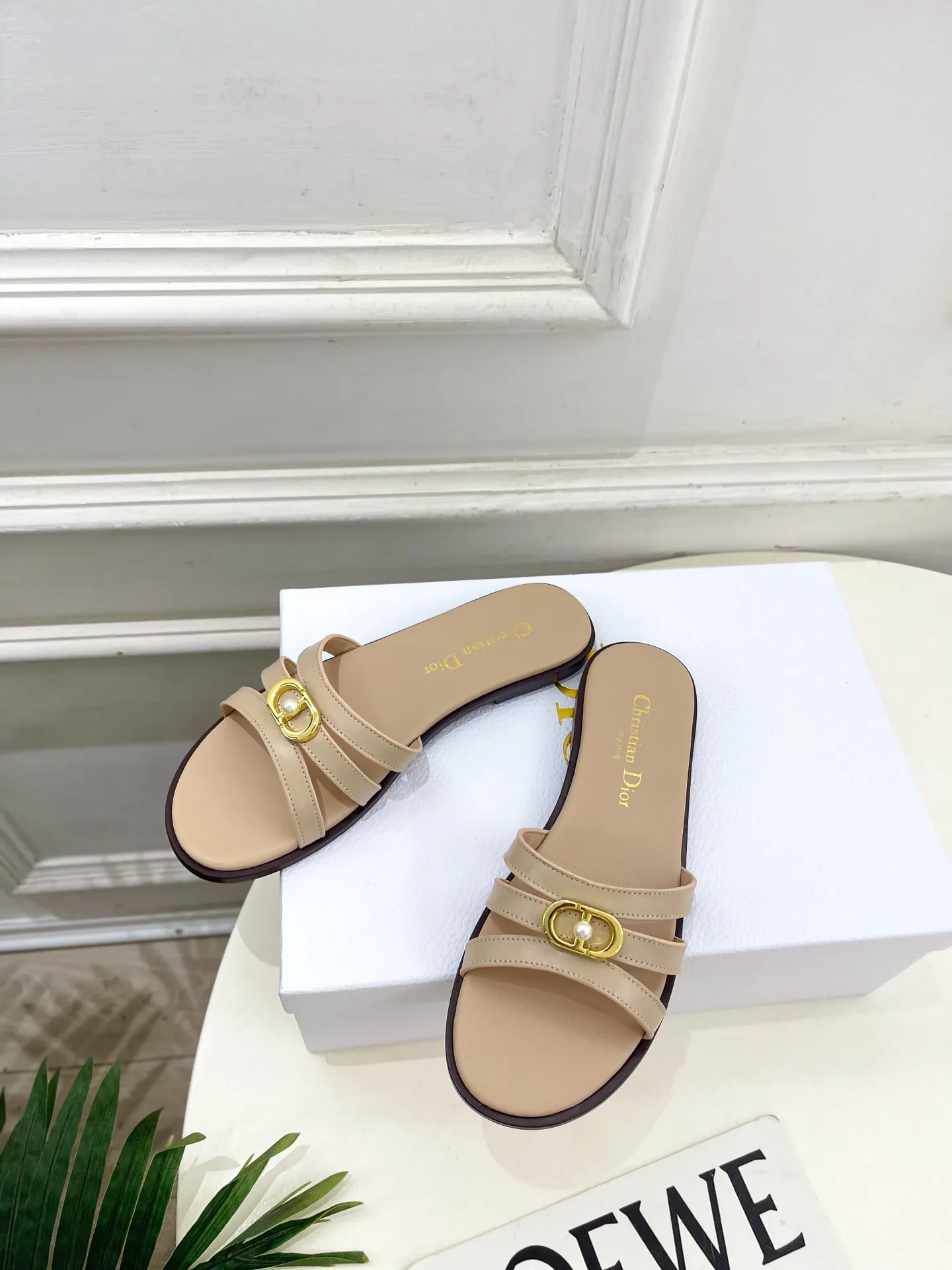 Туфли Женские Christian Dior 12601450