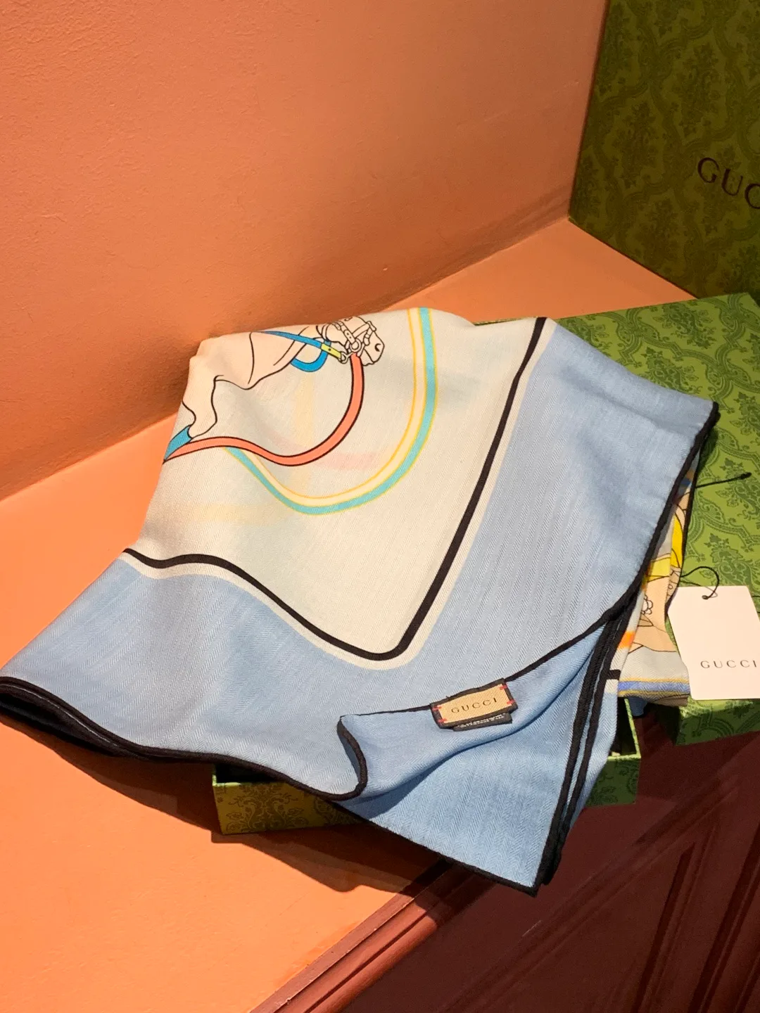 Шарфы Gucci 420543