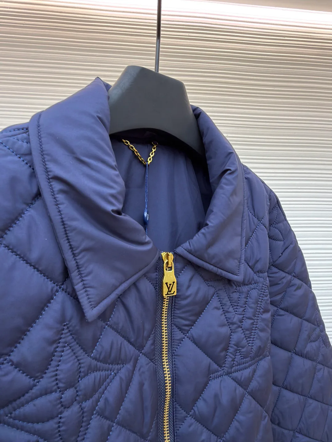 Куртки И Пуховики Мужские Louis Vuitton 6352624