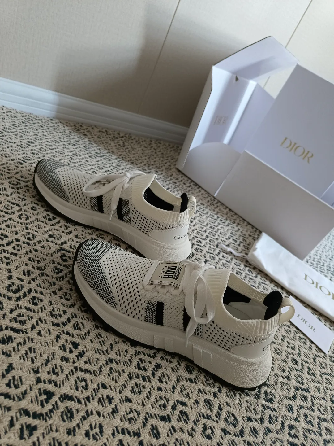 Кроссовки Женские Christian Dior 393009