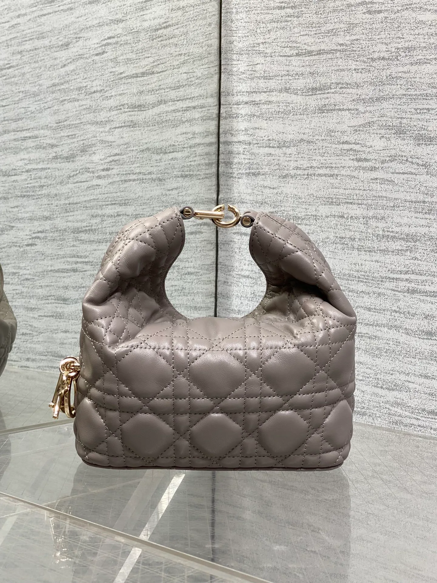 Классические Сумки Женские Christian Dior 18242102