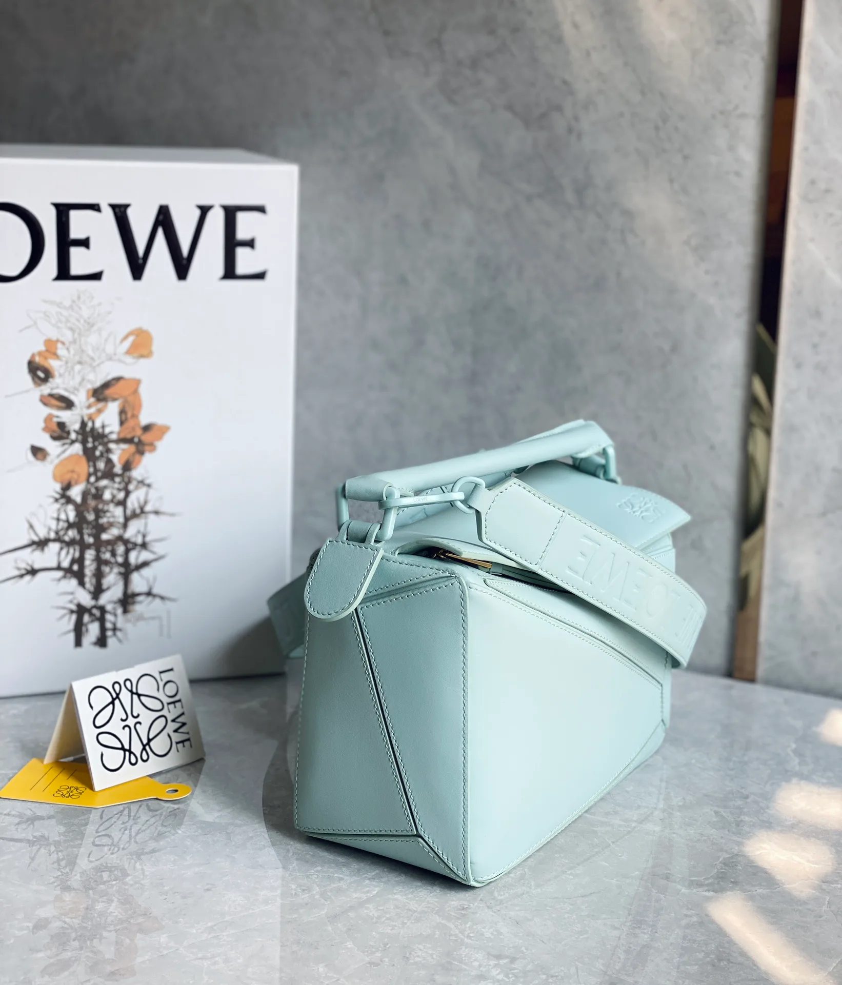 Классические Сумки Женские Loewe 10986854