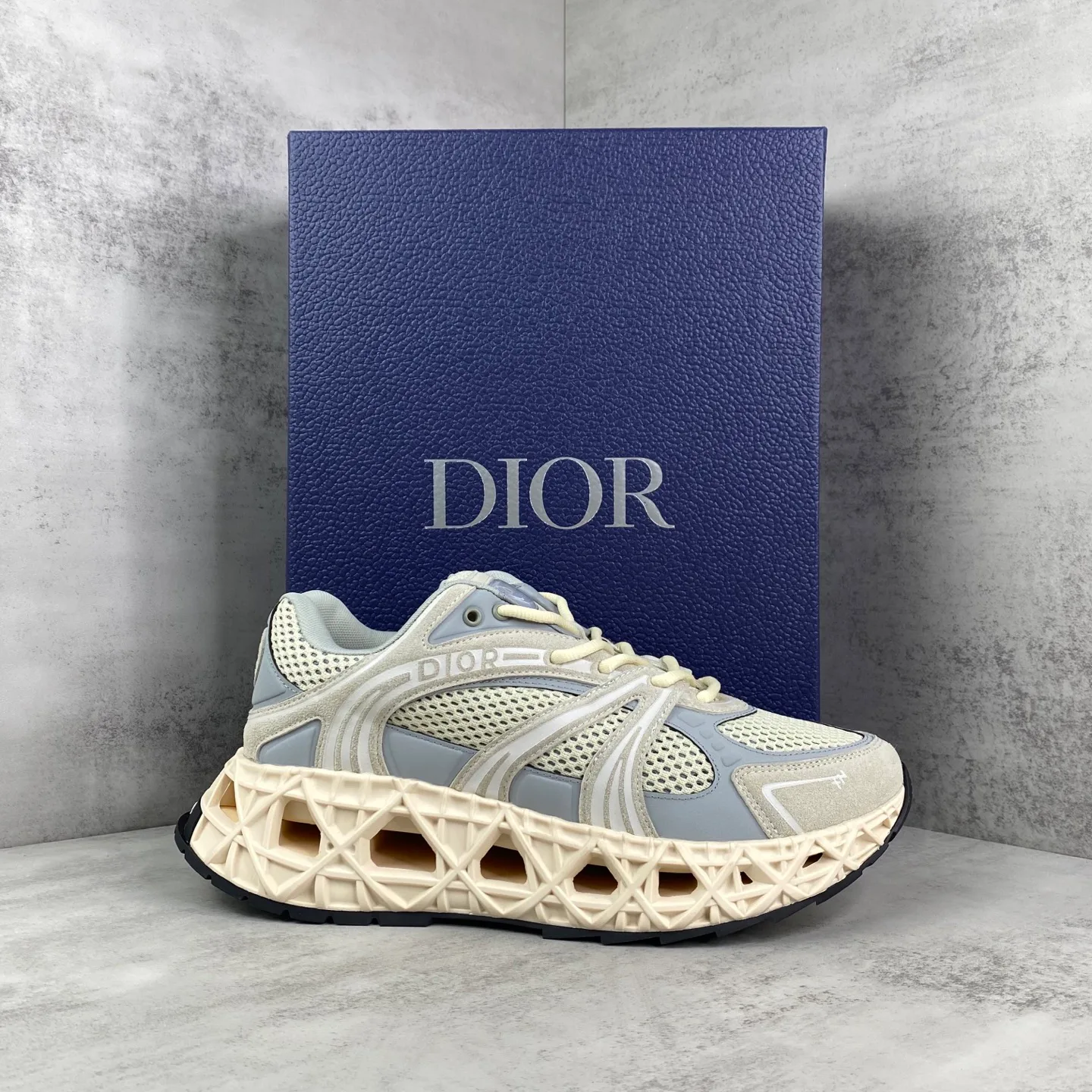 Кроссовки Женские Christian Dior 476859