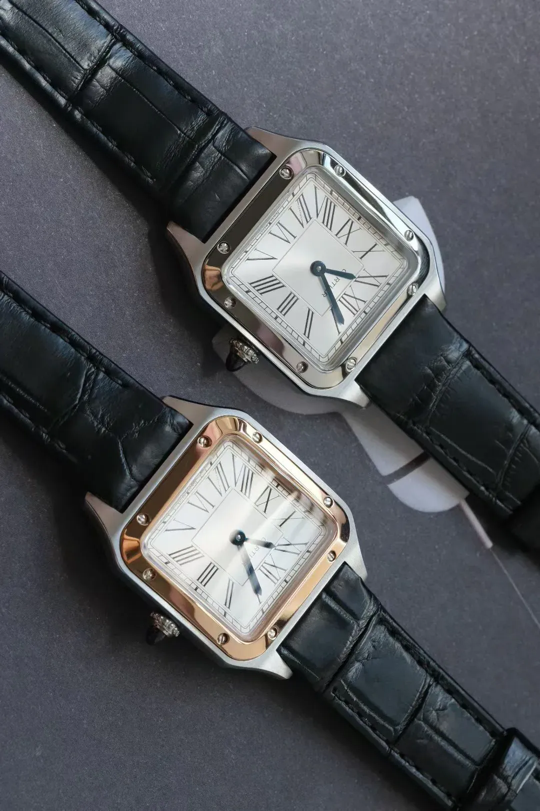 Часы Женские Cartier 5097142