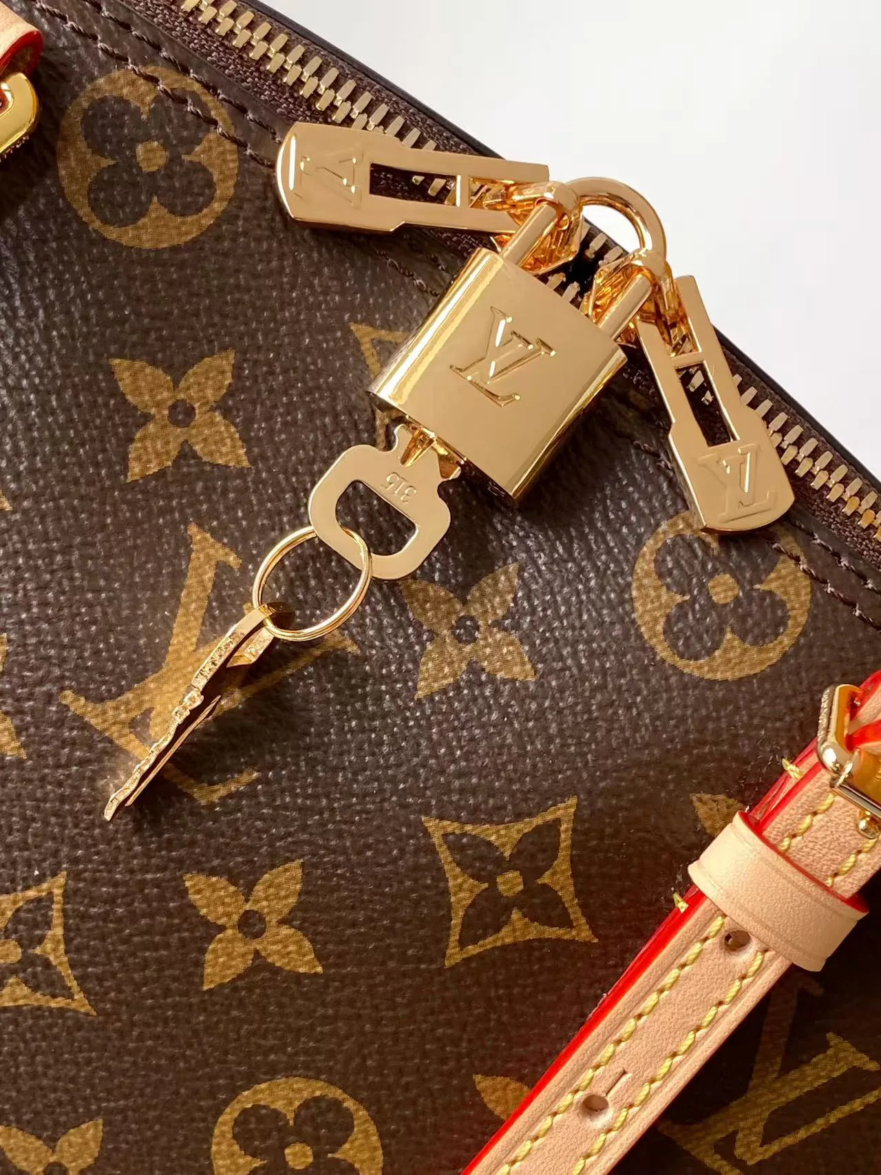 Классические Сумки Женские Louis Vuitton 11872304