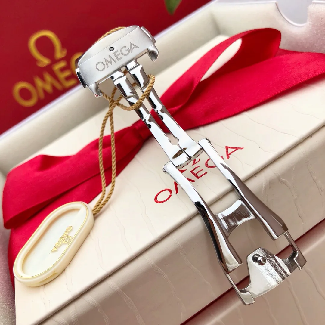 Часы Мужские Omega 1284308