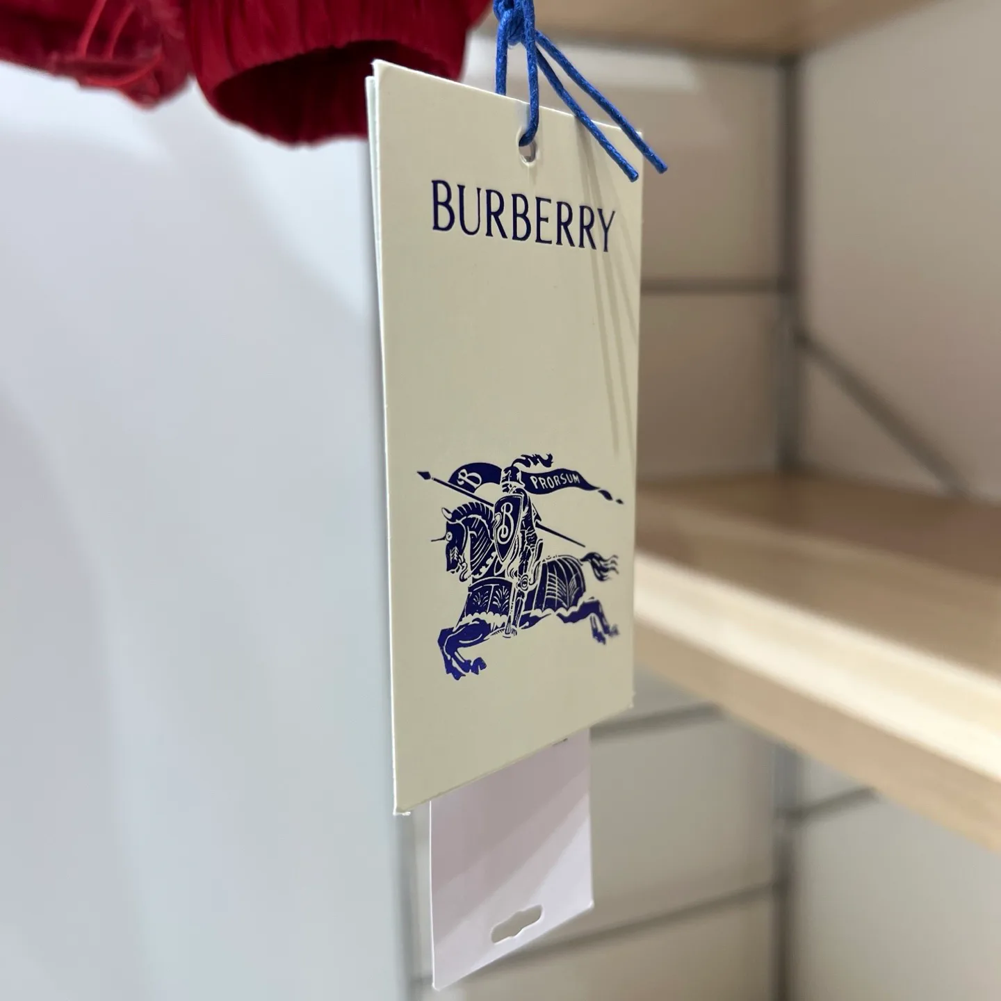 Куртки И Пуховики Женские Burberry 18110901