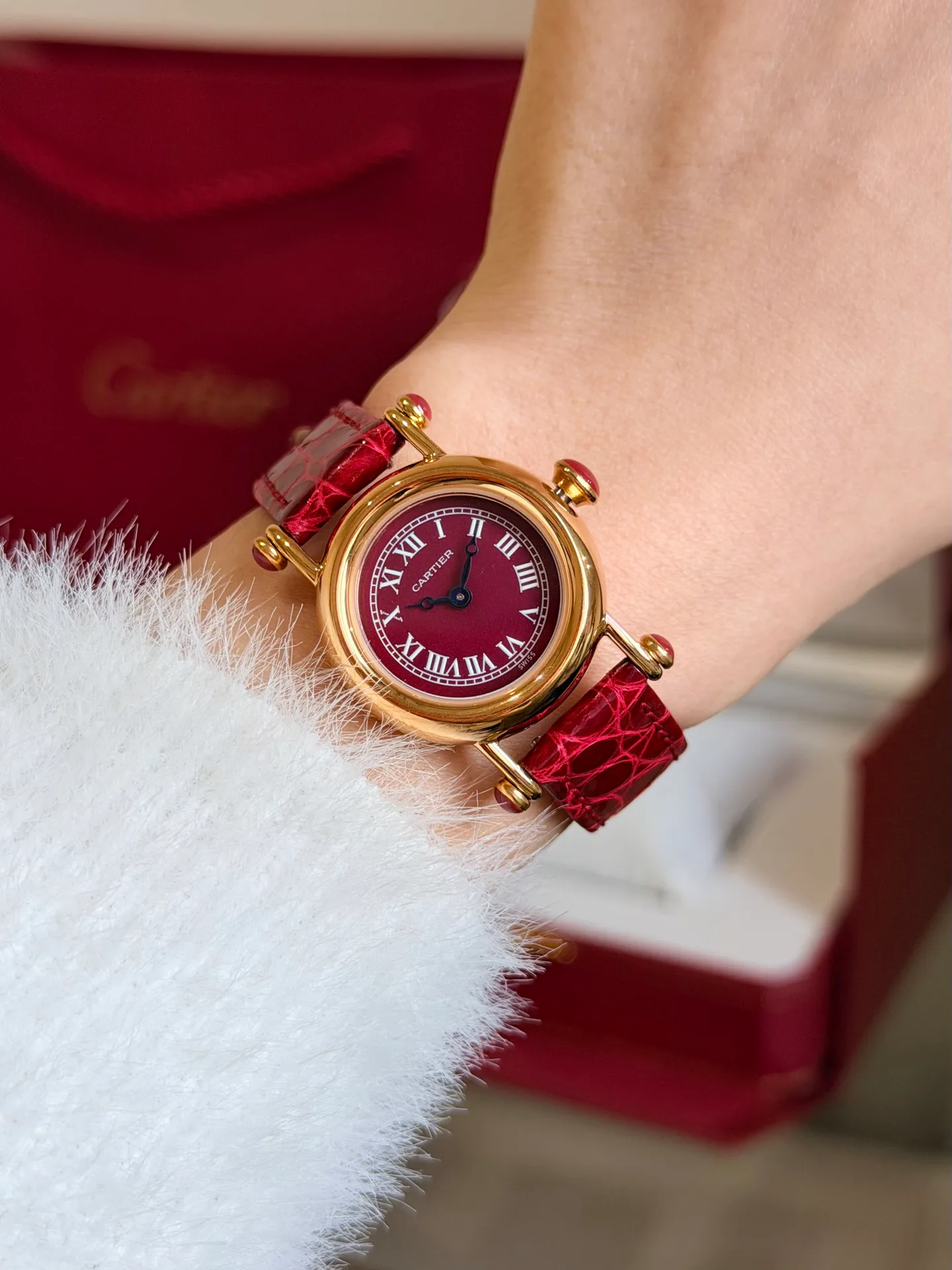 Часы Женские Cartier 18603711