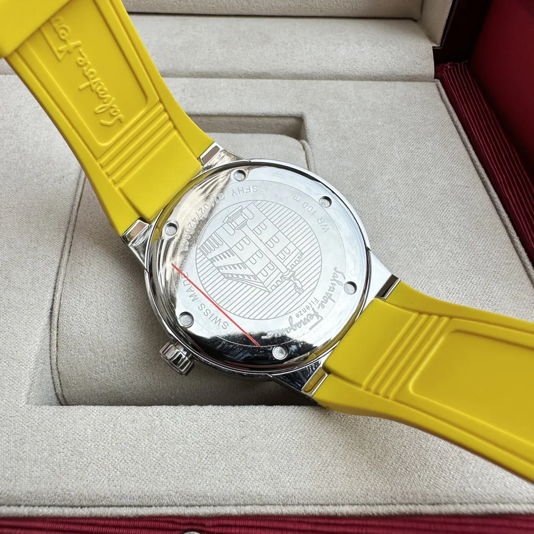 Часы Мужские Salvatore Ferragamo 1284239