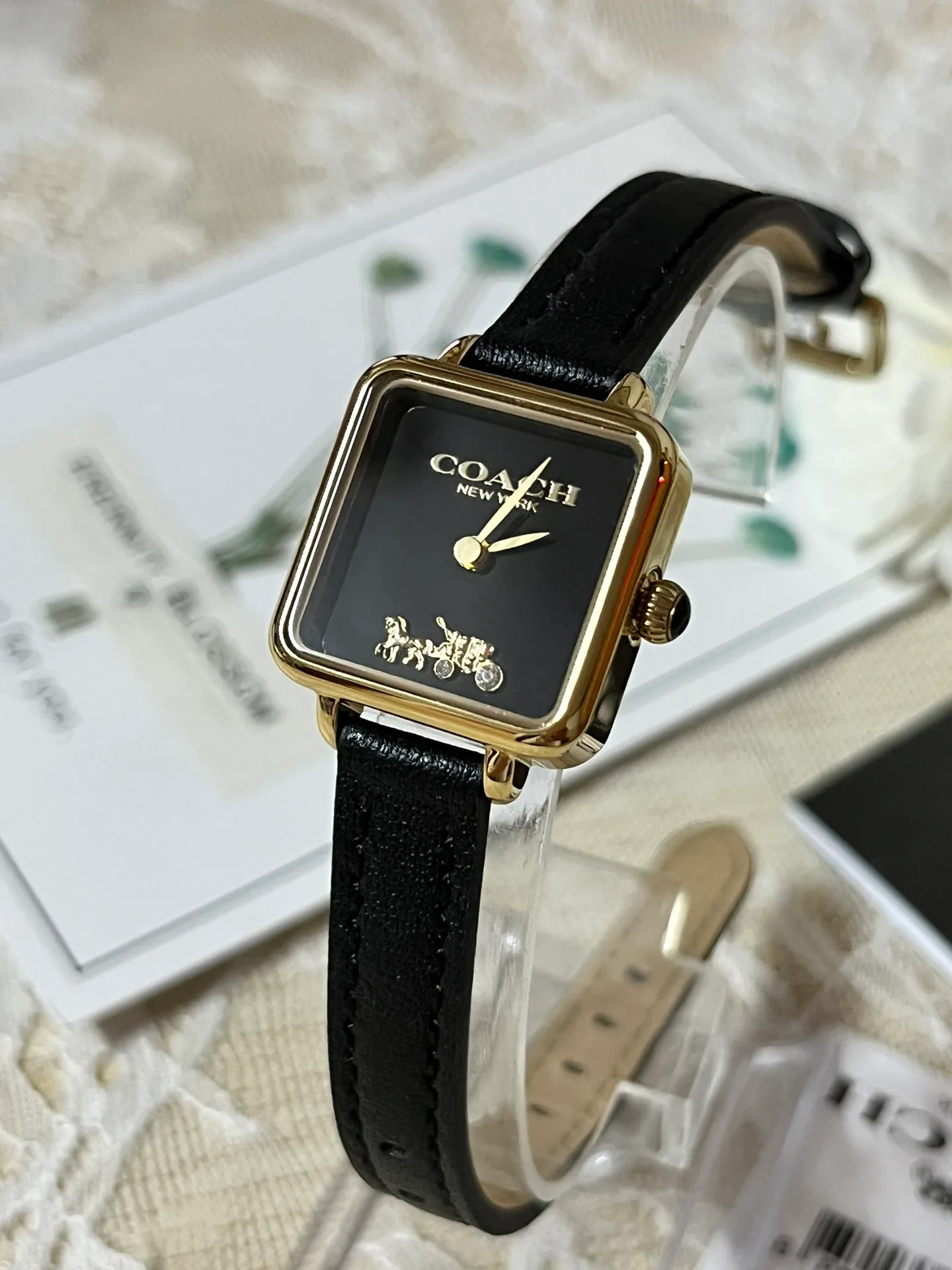 Часы Женские Coach 1288113