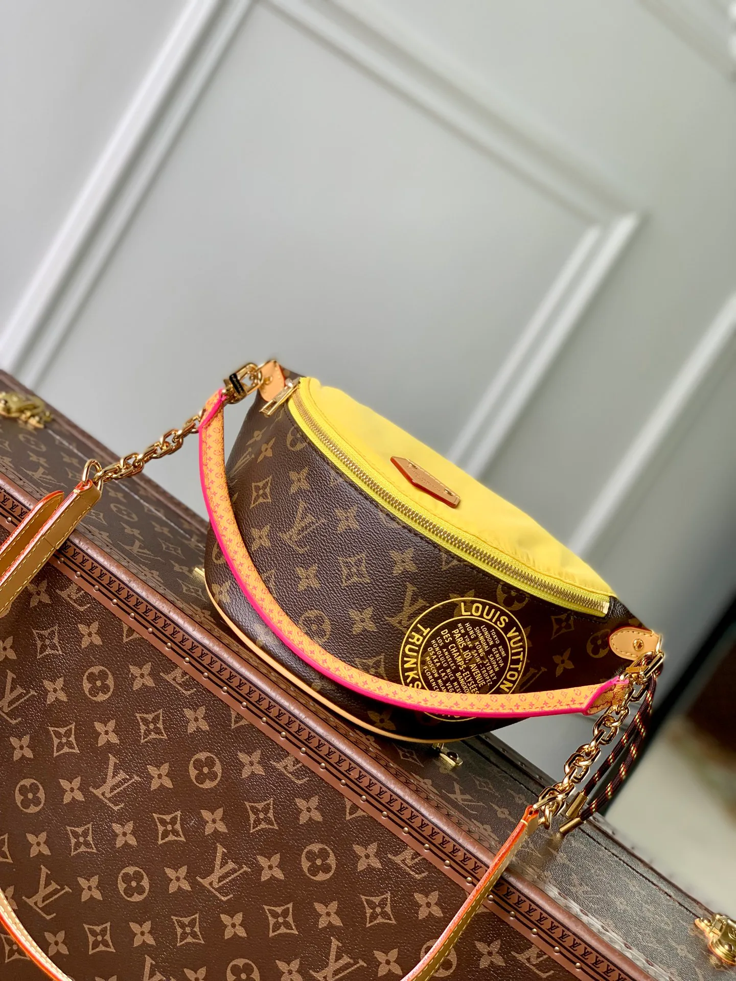Поясные Сумки Женские Louis Vuitton 13833563