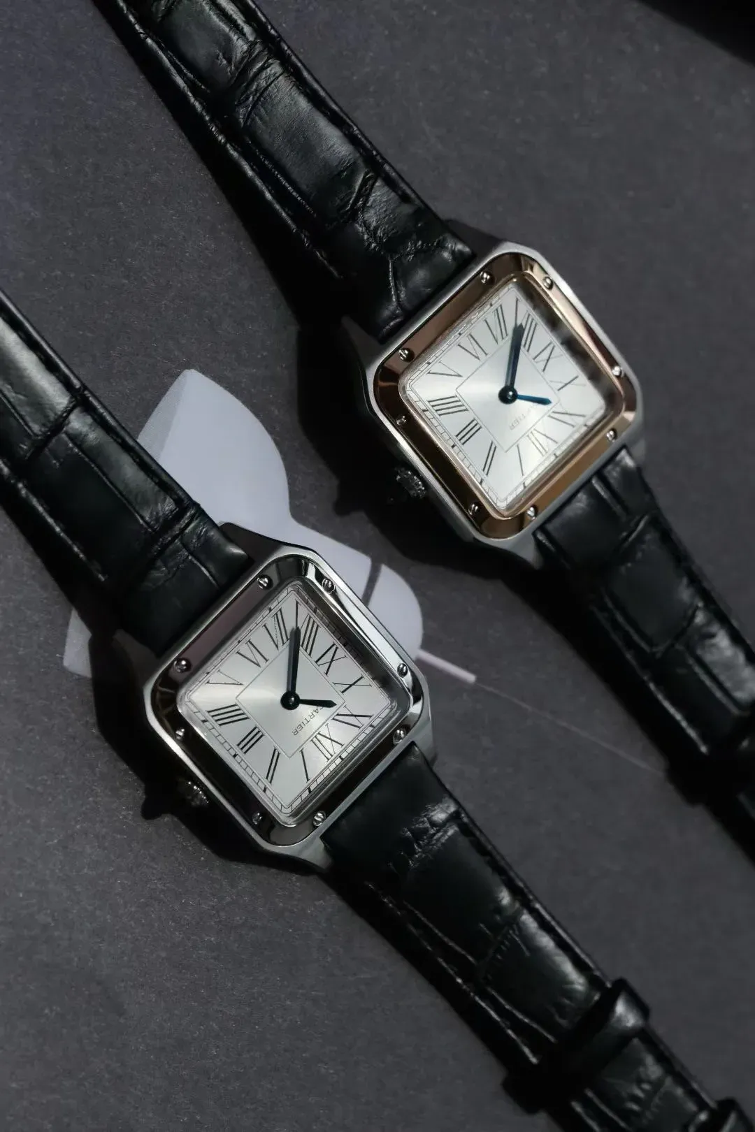 Часы Женские Cartier 5097142