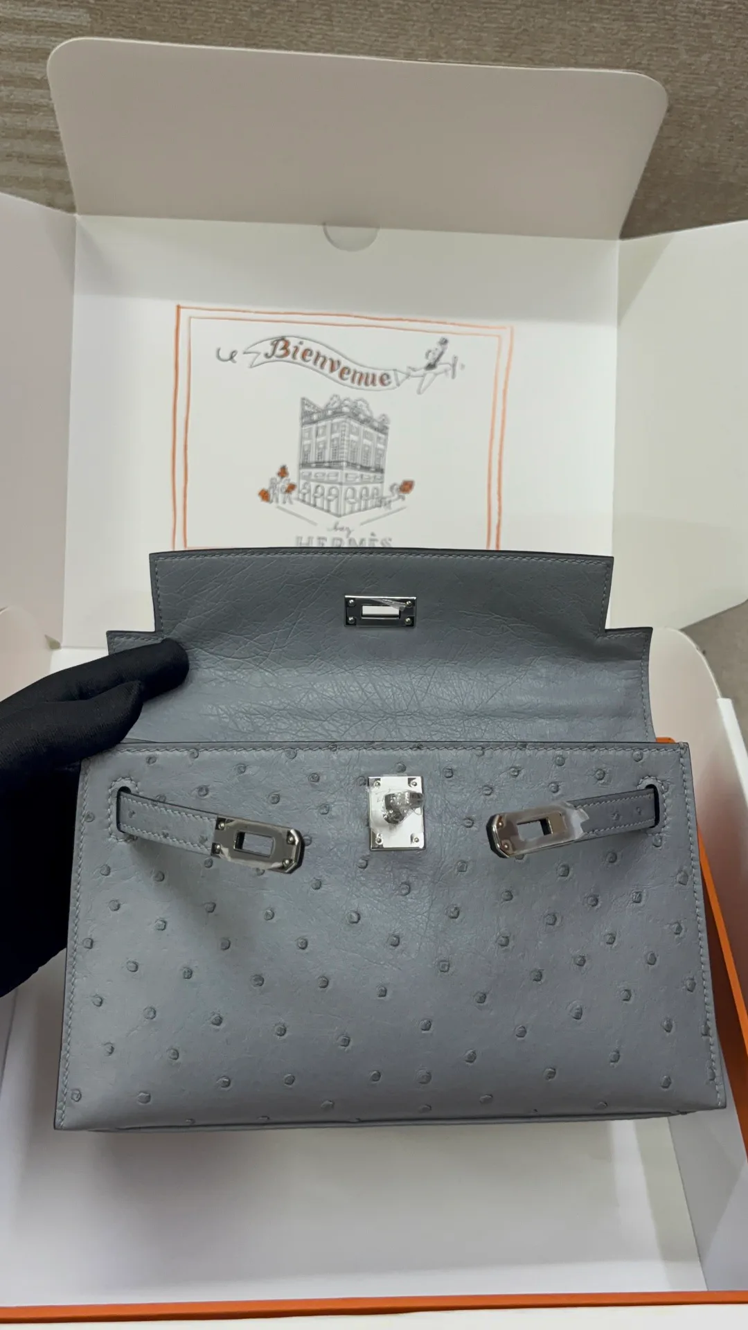 Клатчи Женские Hermes 15119754