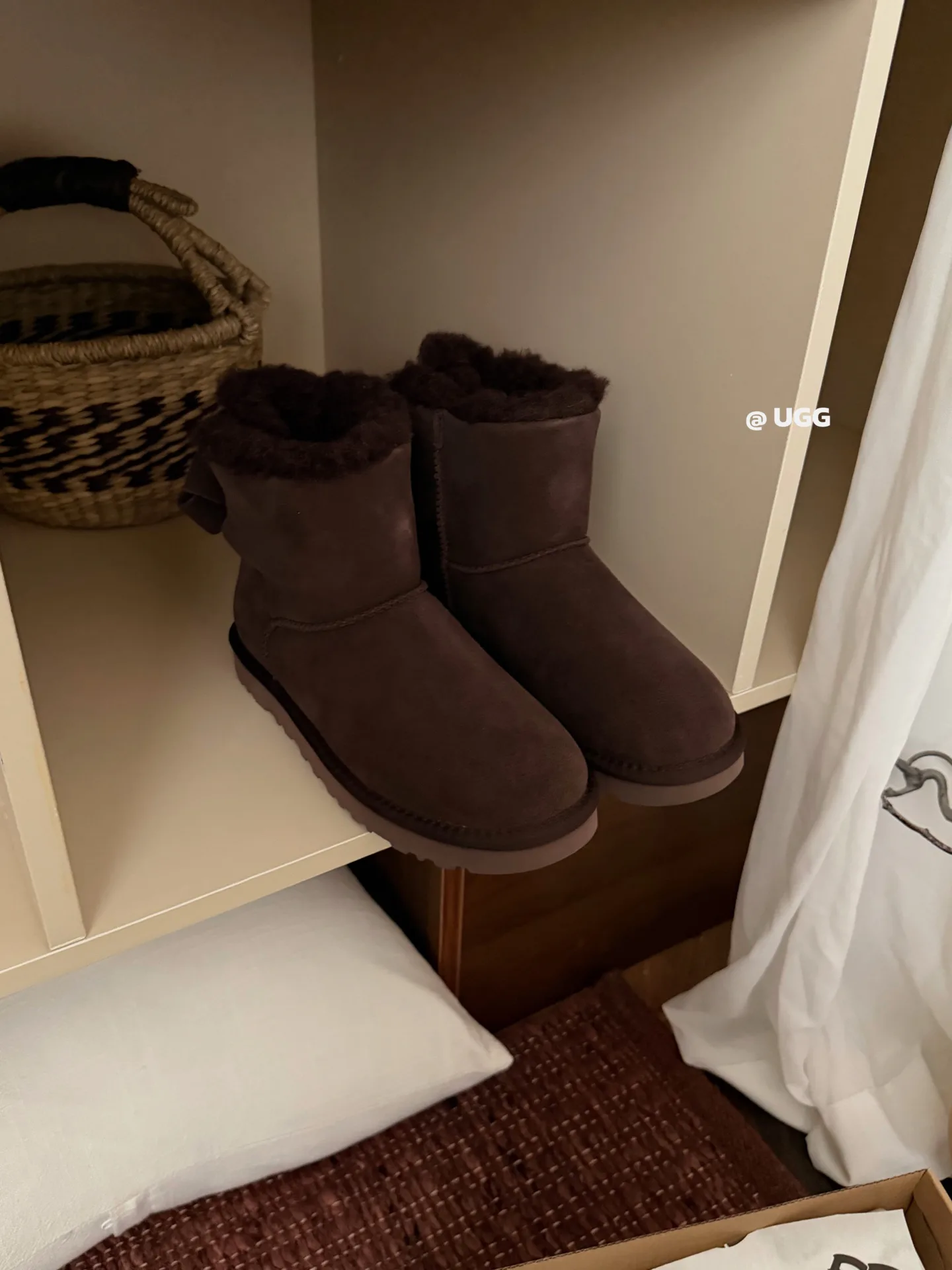 Угги Женские Ugg 19811579