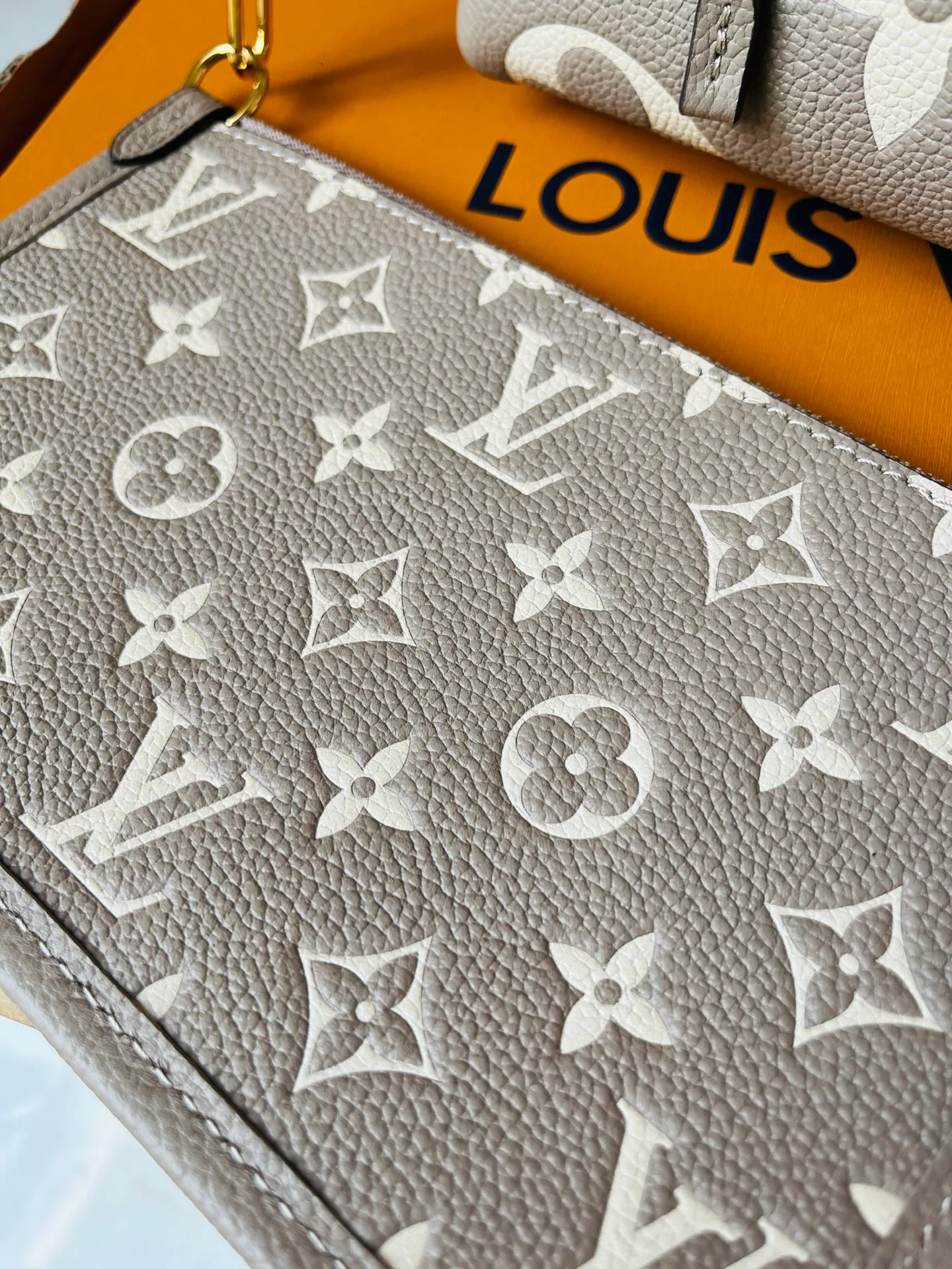 Классические Сумки Женские Louis Vuitton 12569324