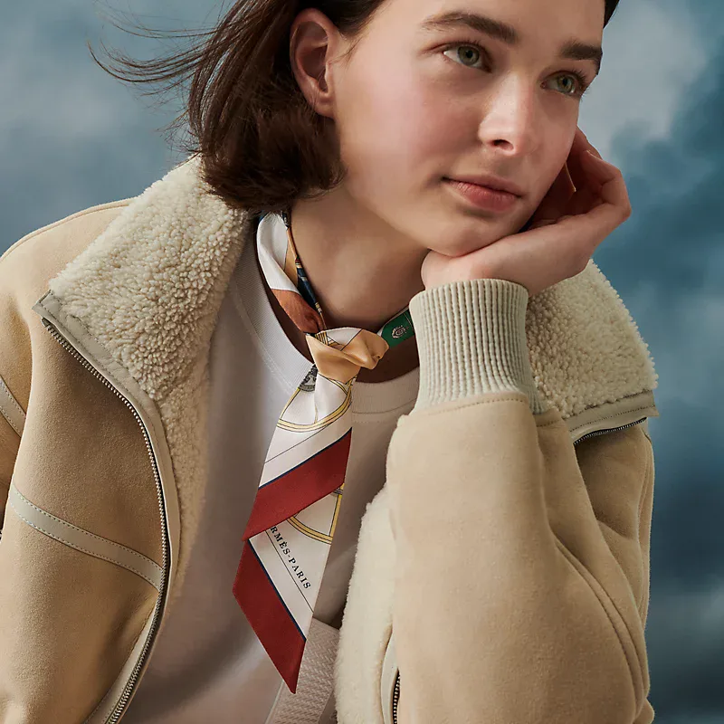 Платки Hermes 2588588