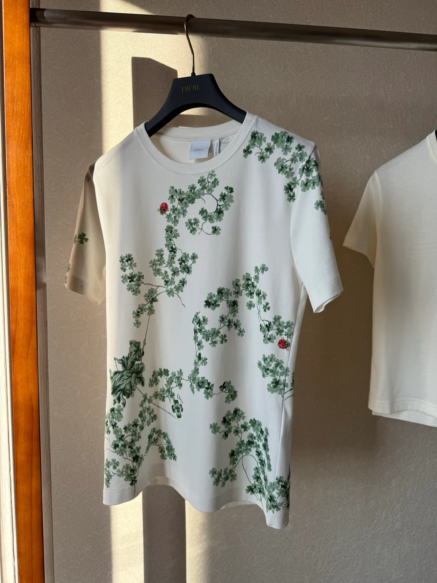 Футболки Женские Christian Dior 1969986