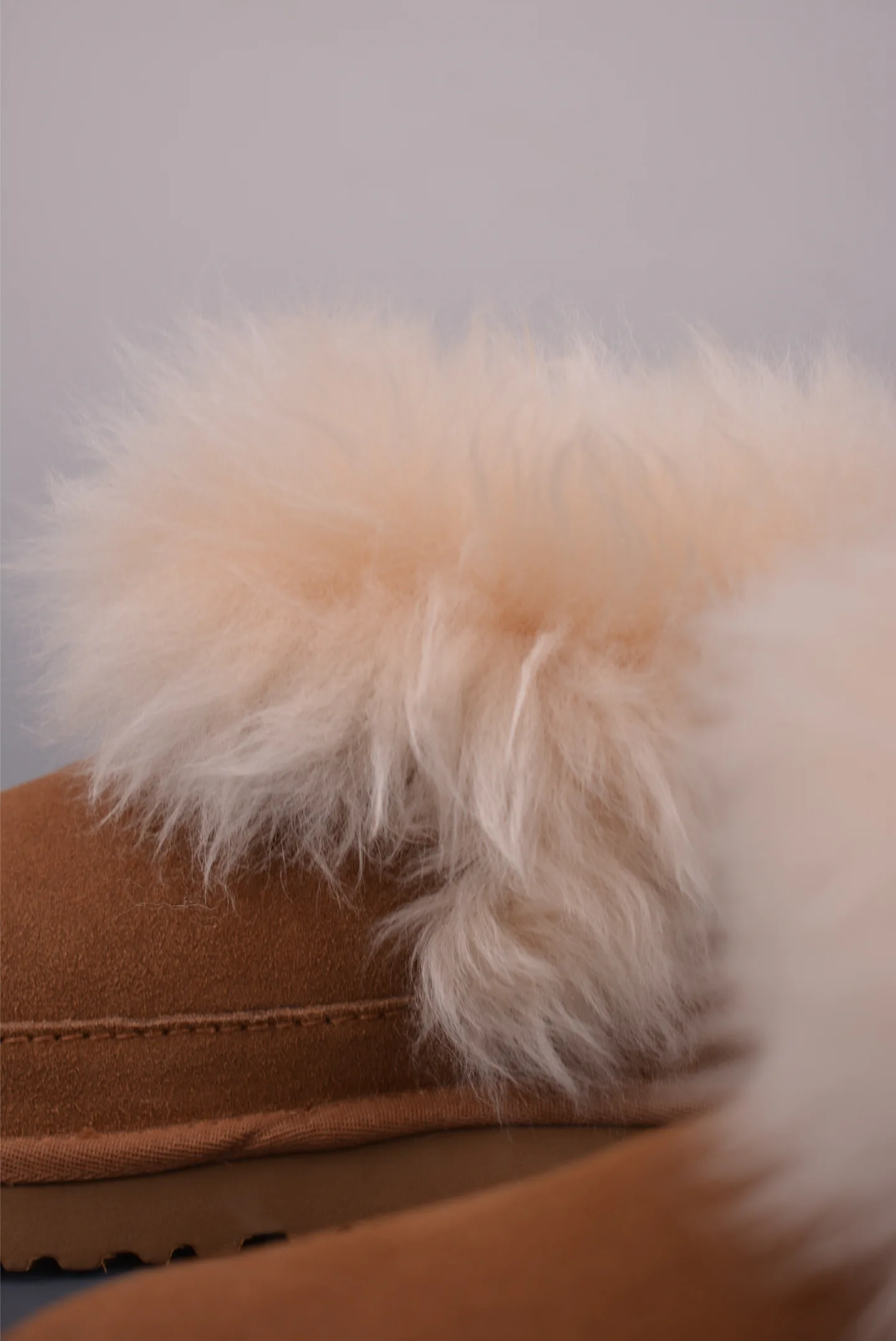 Угги Женские Ugg 288102