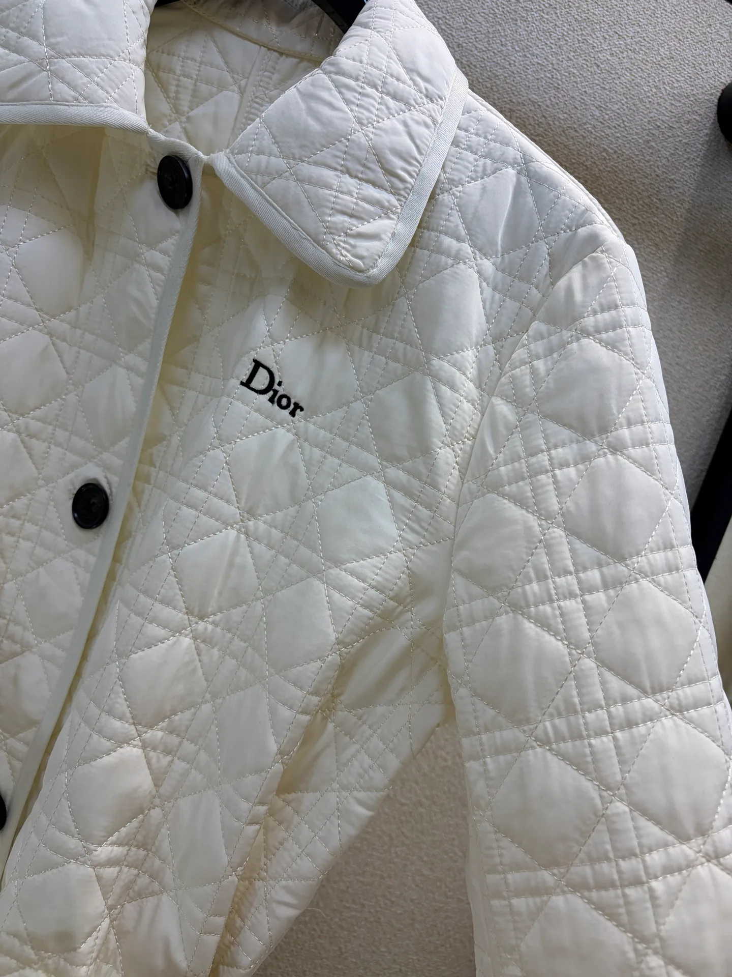 Куртки И Пуховики Женские Christian Dior 18184264