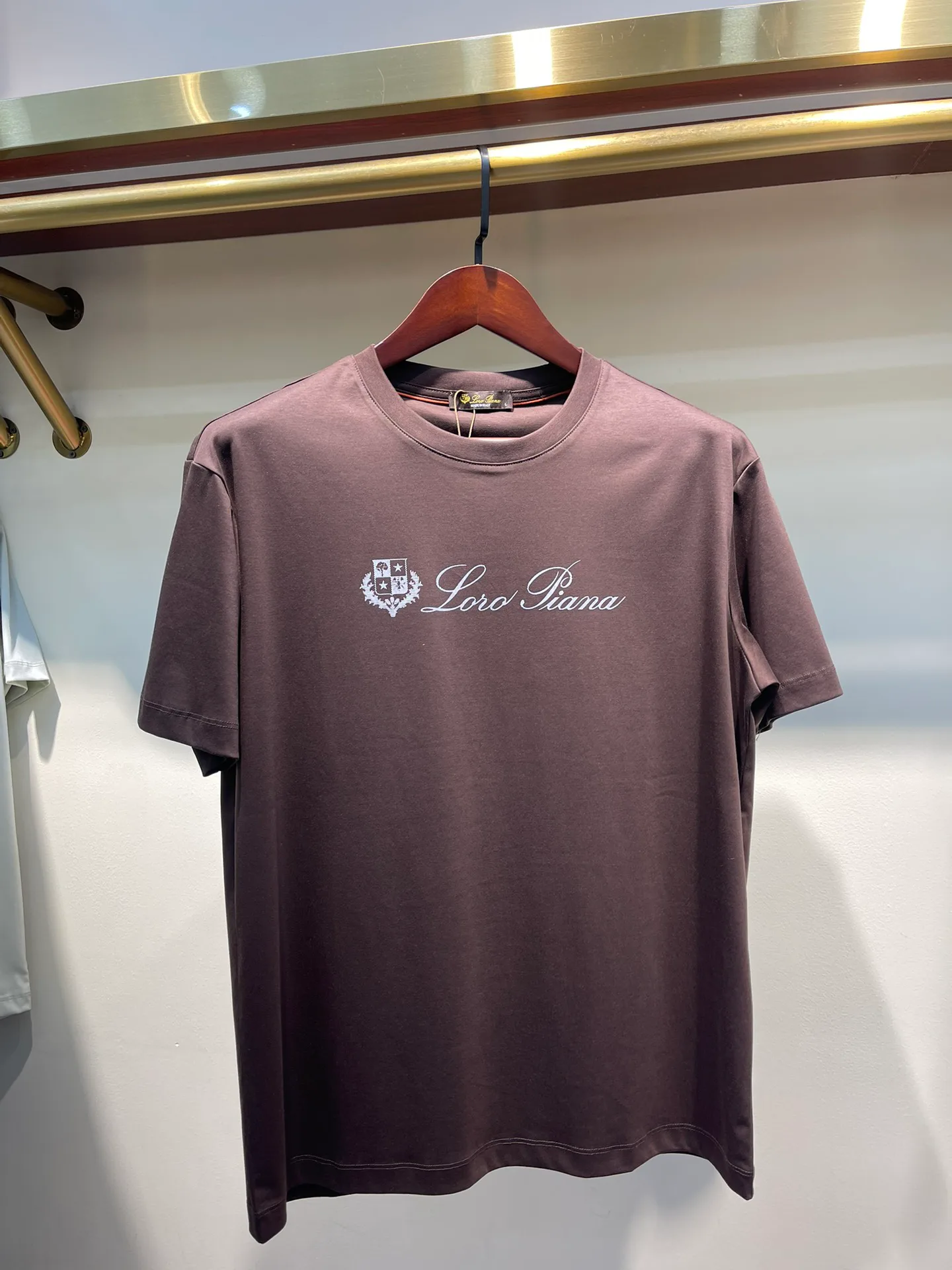 Футболки Мужские Loro Piana 5061141