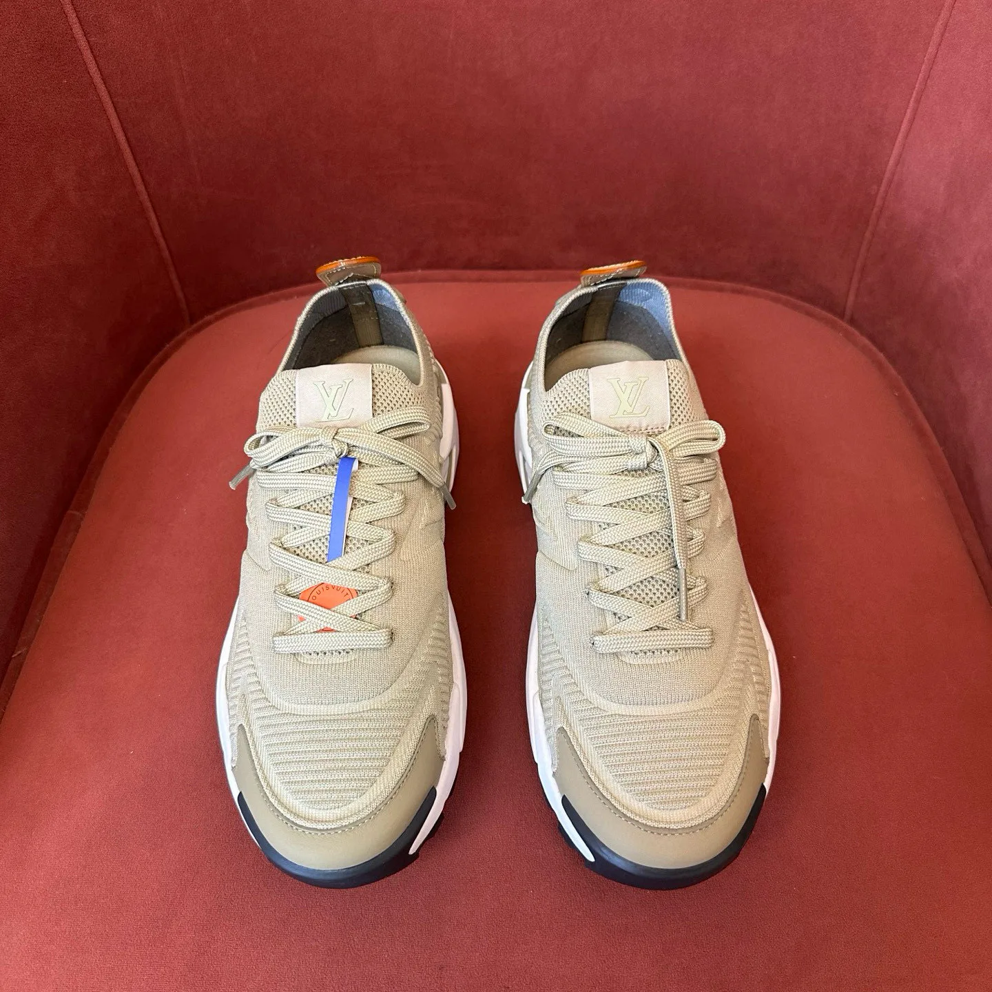 Кроссовки Мужские Louis Vuitton 591626