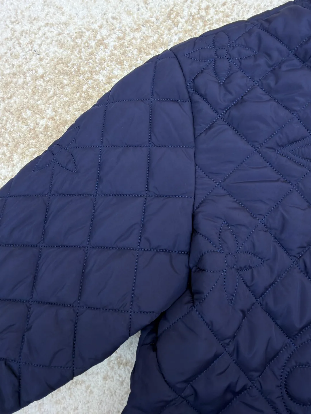 Куртки И Пуховики Мужские Louis Vuitton 174519