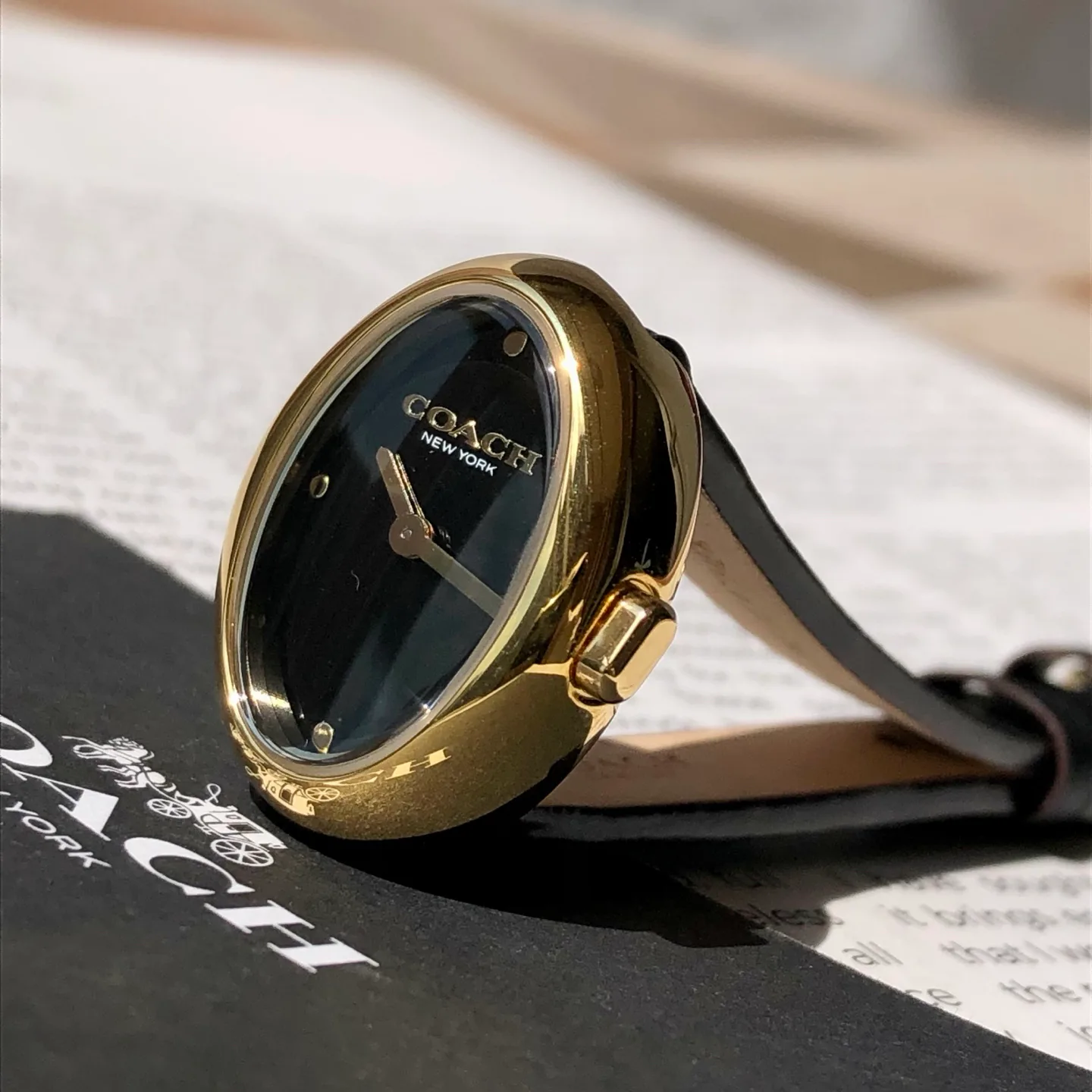 Часы Женские Coach 449051