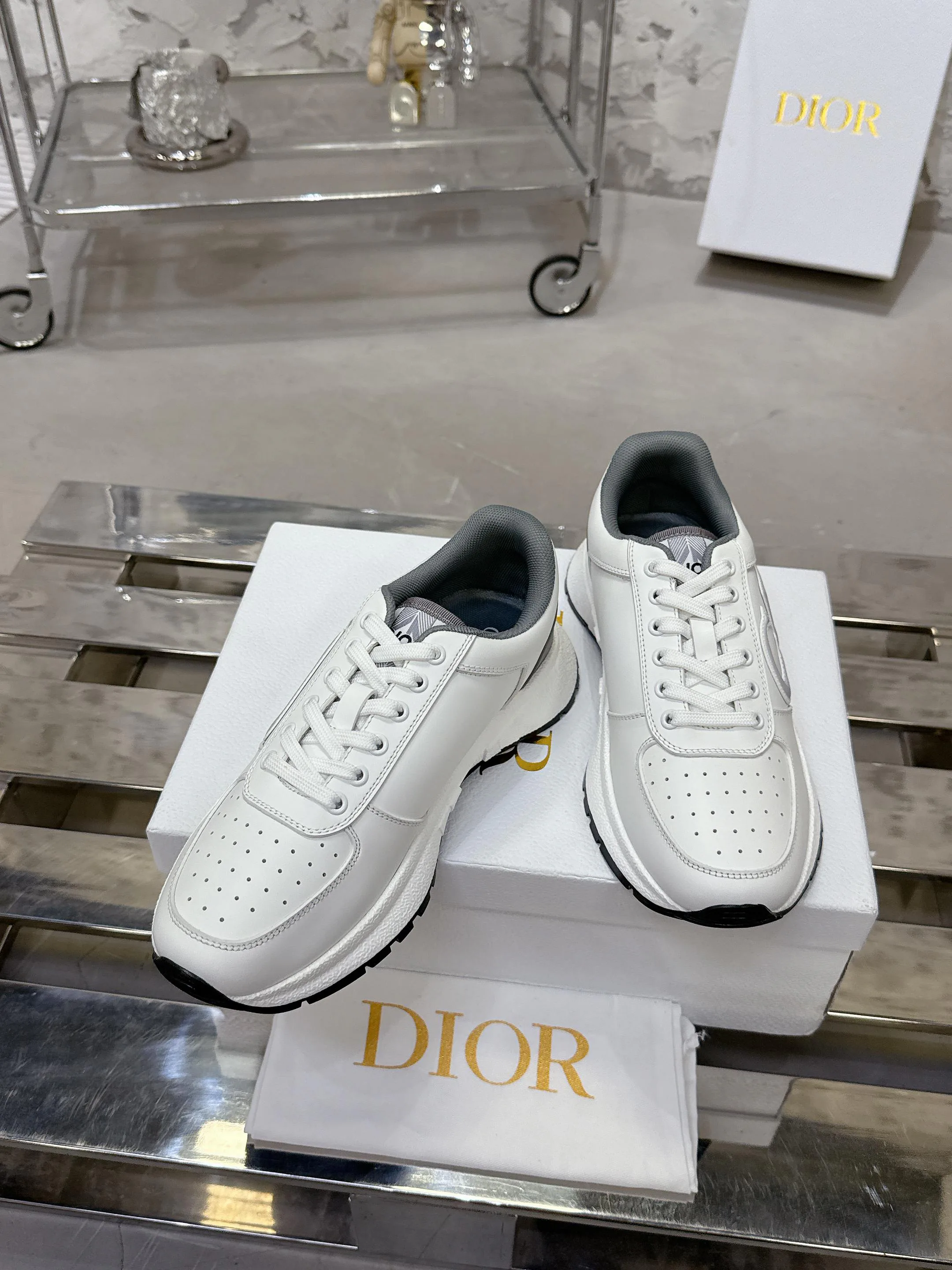 Кроссовки Женские Christian Dior 456943