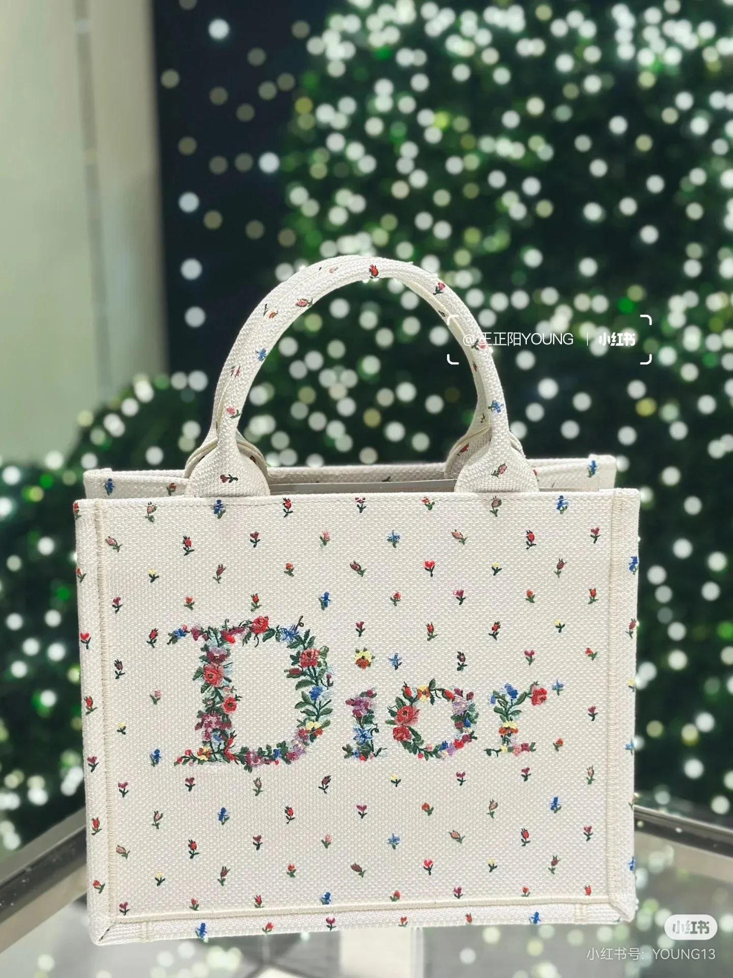 Классические Сумки Женские Christian Dior 12817853