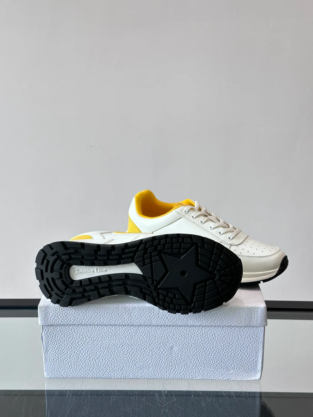 Кроссовки Мужские Christian Dior 160925