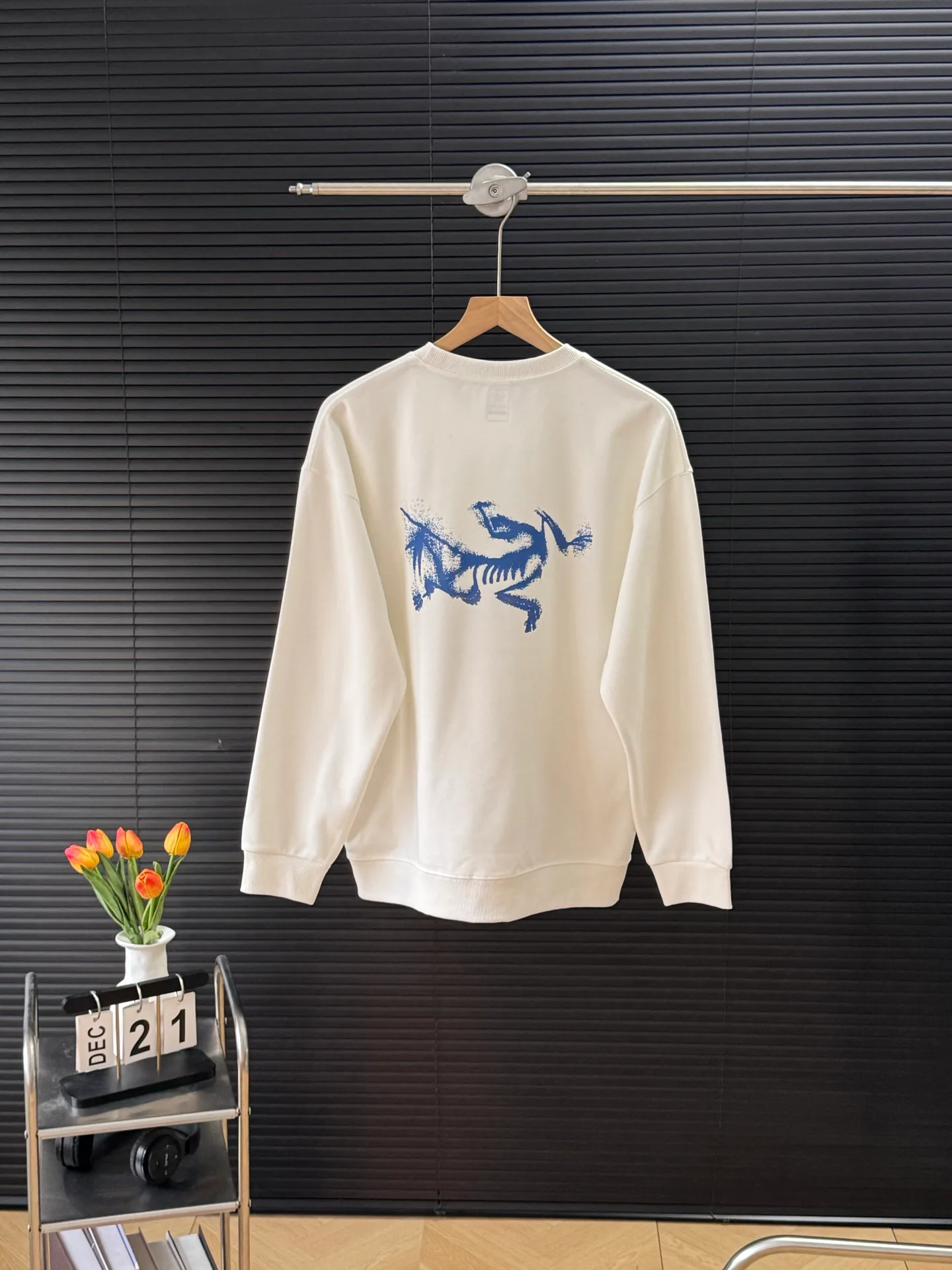 Свитшоты И Худи Мужские Arcteryx 19507063
