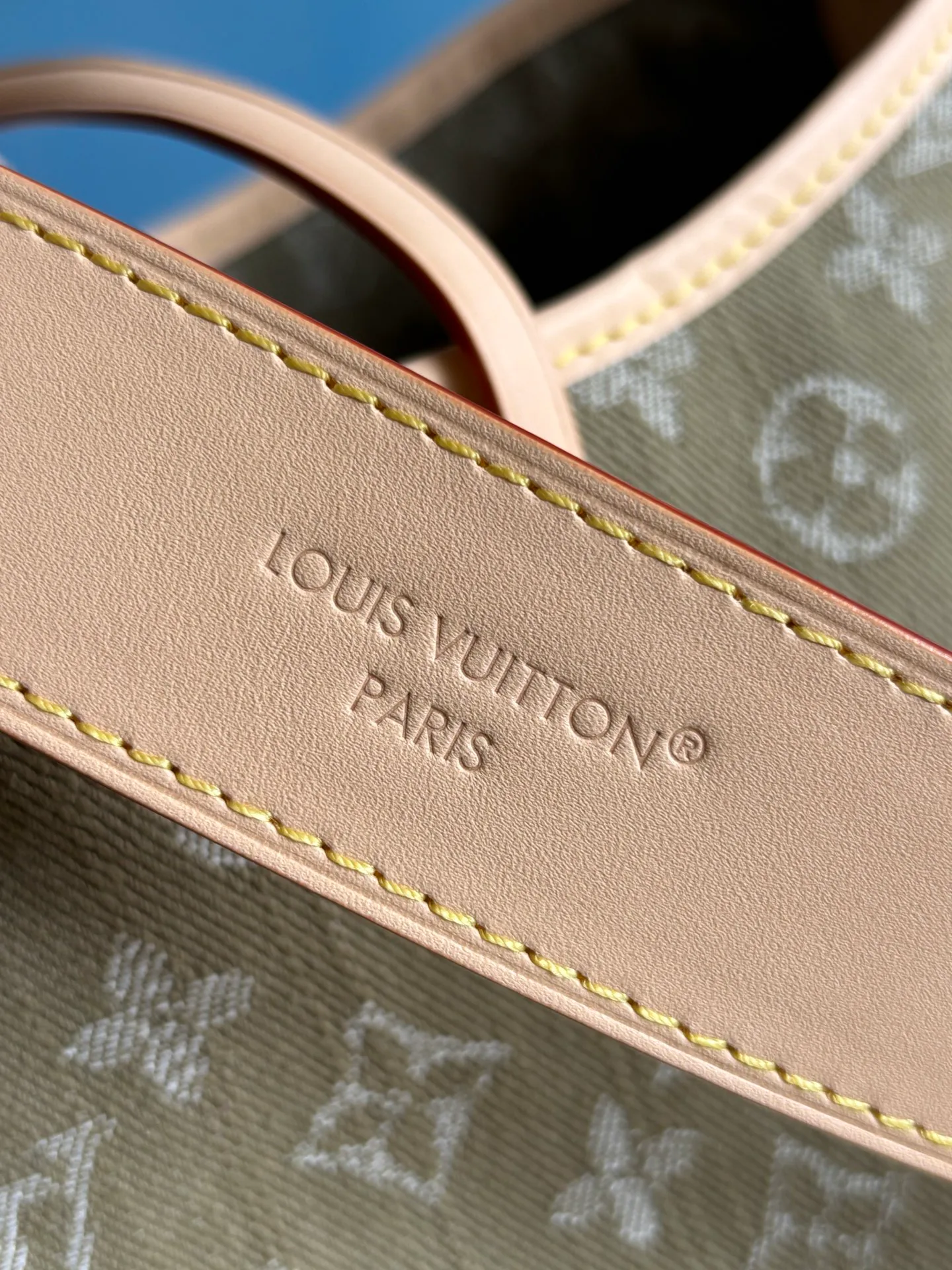 Классические Сумки Женские Louis Vuitton 12952216