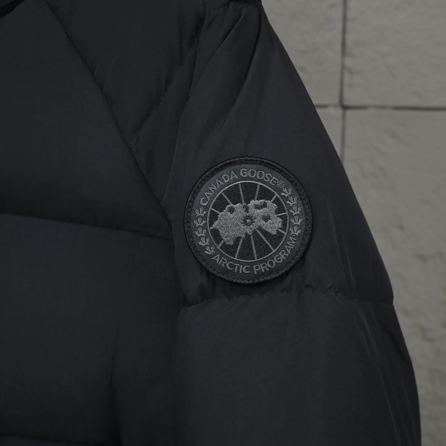 Куртки И Пуховики Женские Canada Goose 19987566
