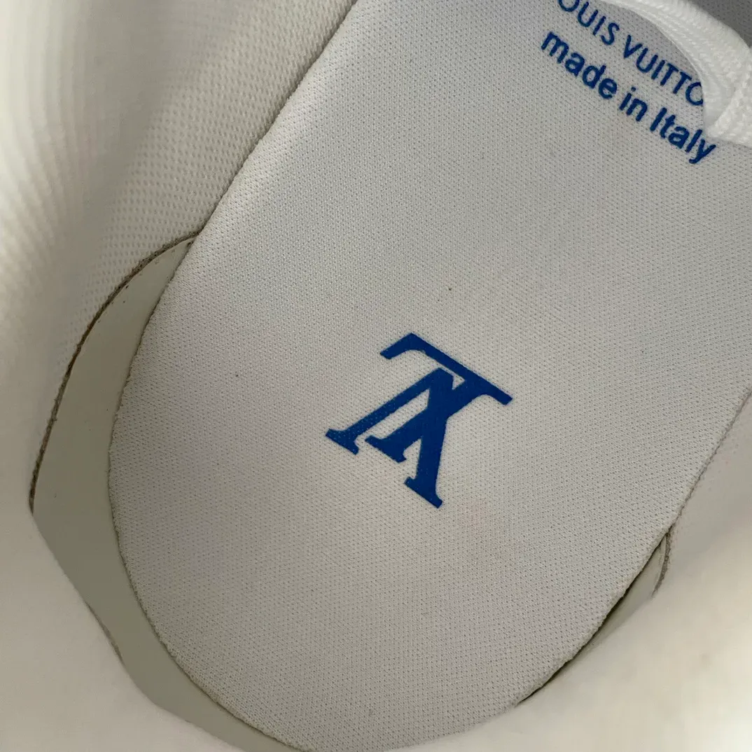 Кроссовки Мужские Louis Vuitton 2556257