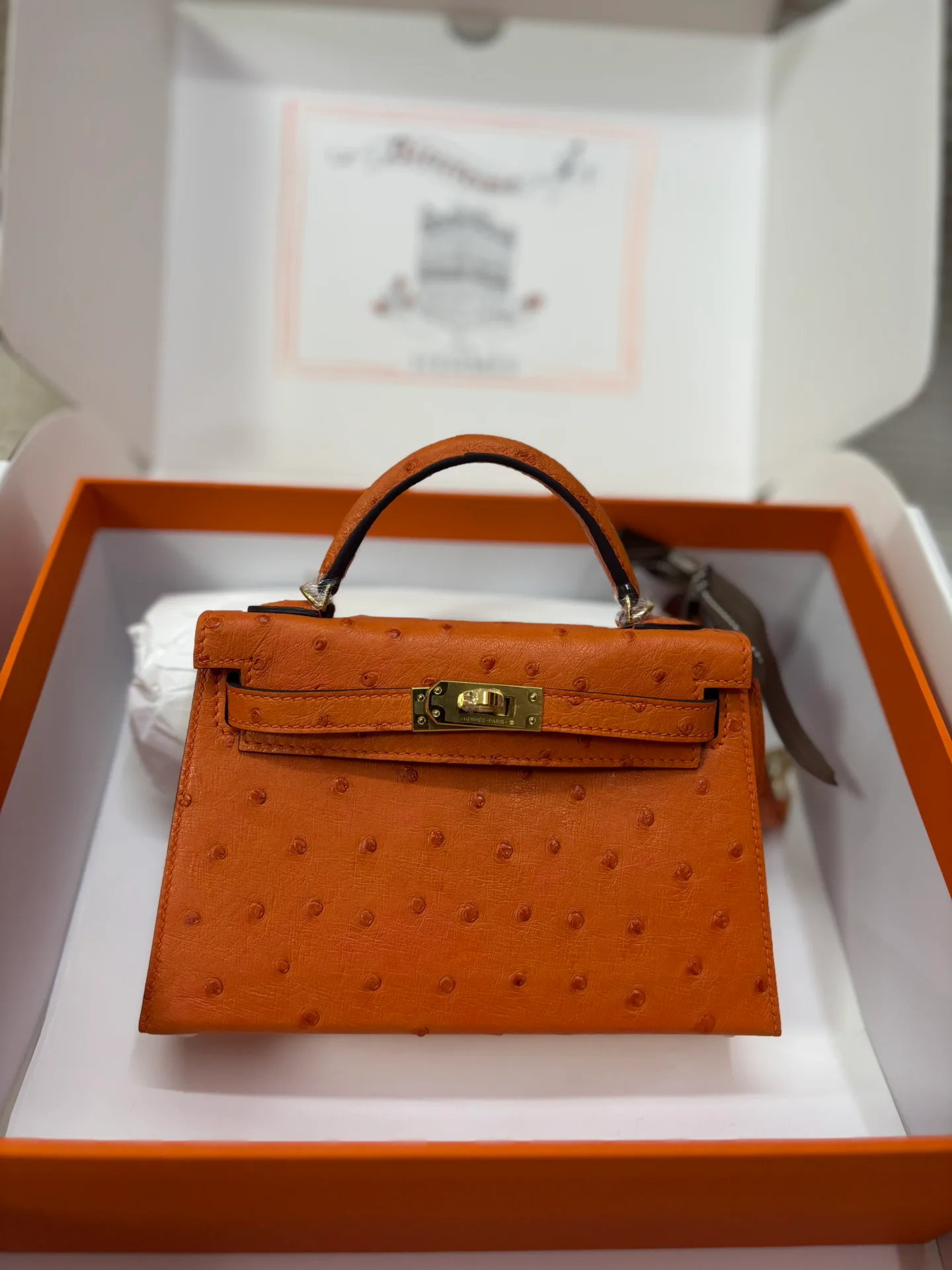 Клатчи Женские Hermes 11591048