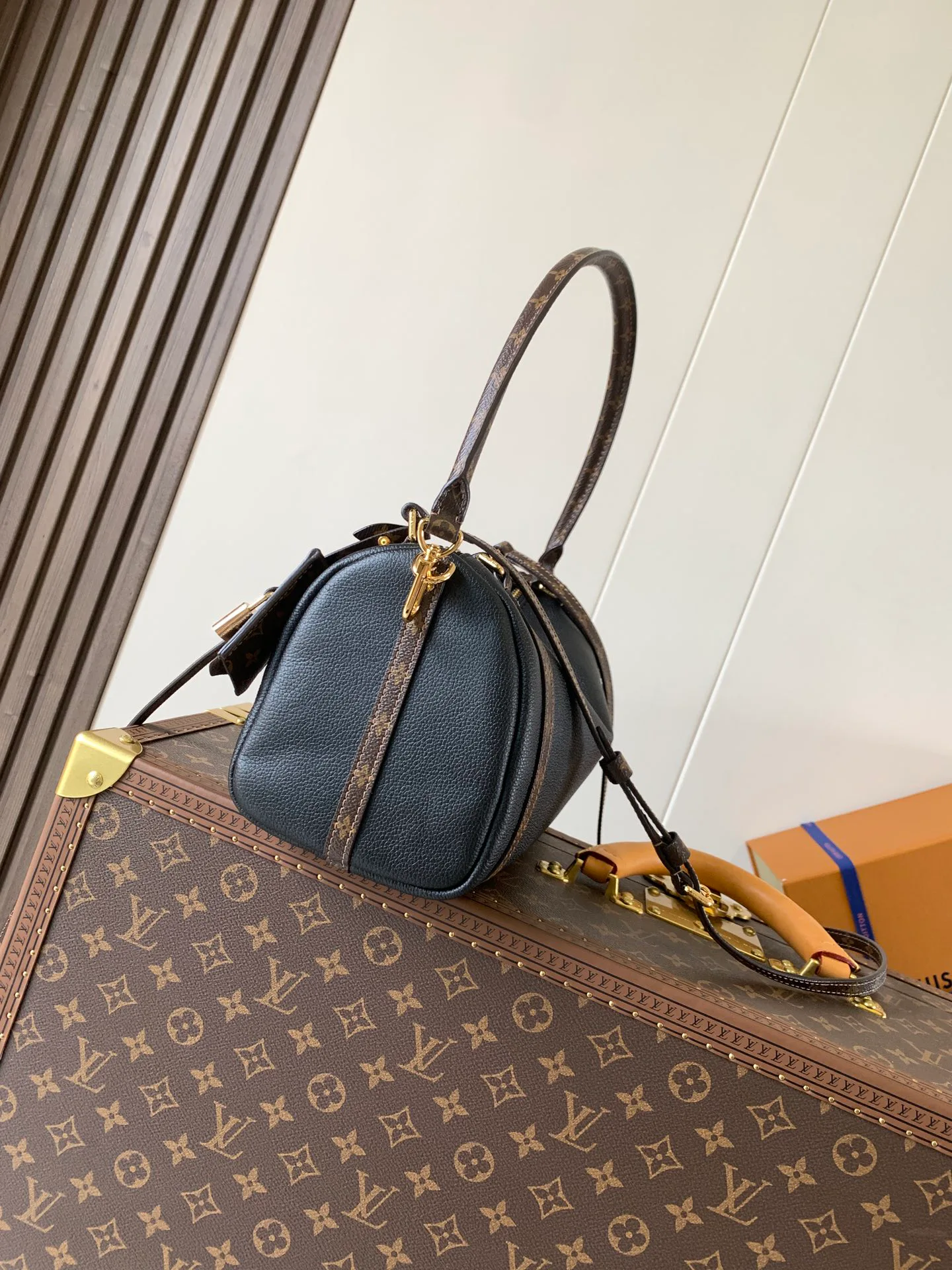 Классические Сумки Женские Louis Vuitton 11394897