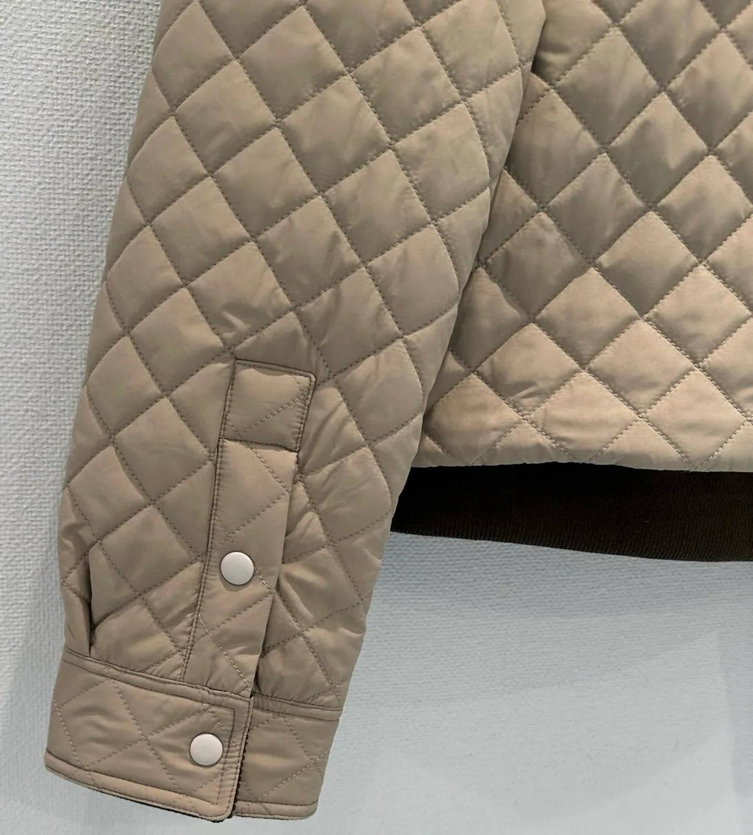 Куртки И Пуховики Женские Loewe 787352