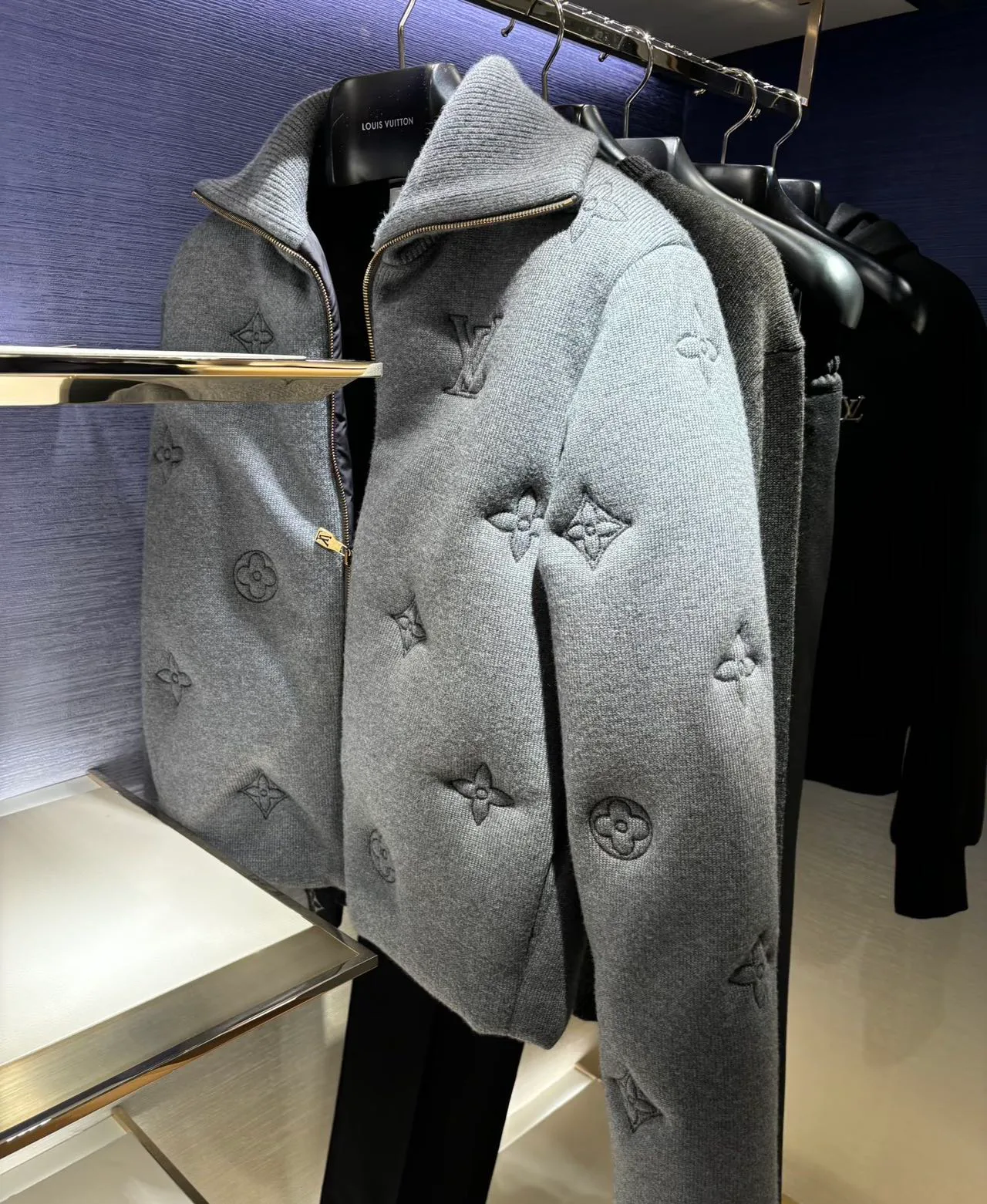 Куртки И Пуховики Женские Louis Vuitton 19492593