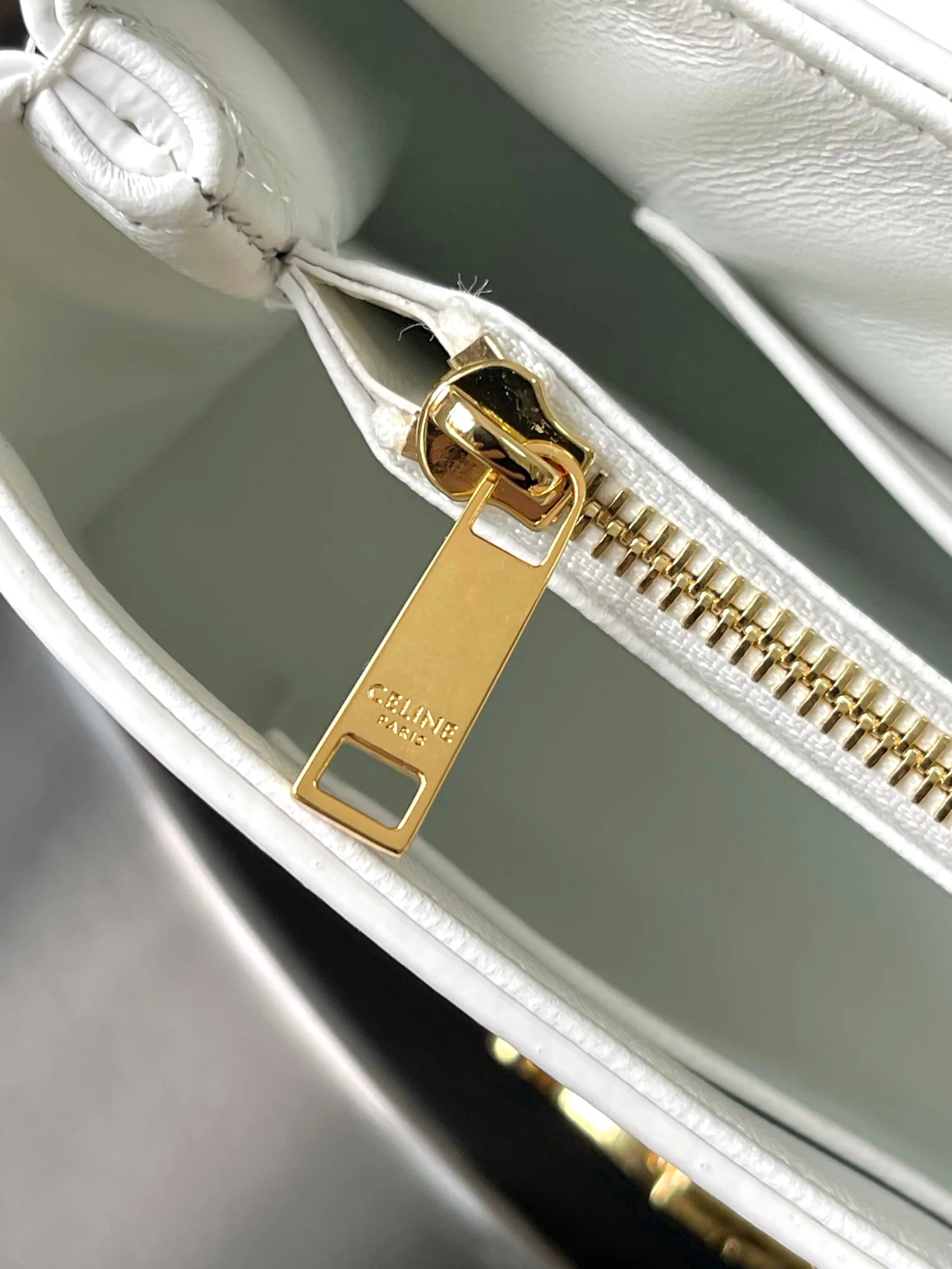 Сумки На Ремне Женские Celine 423854