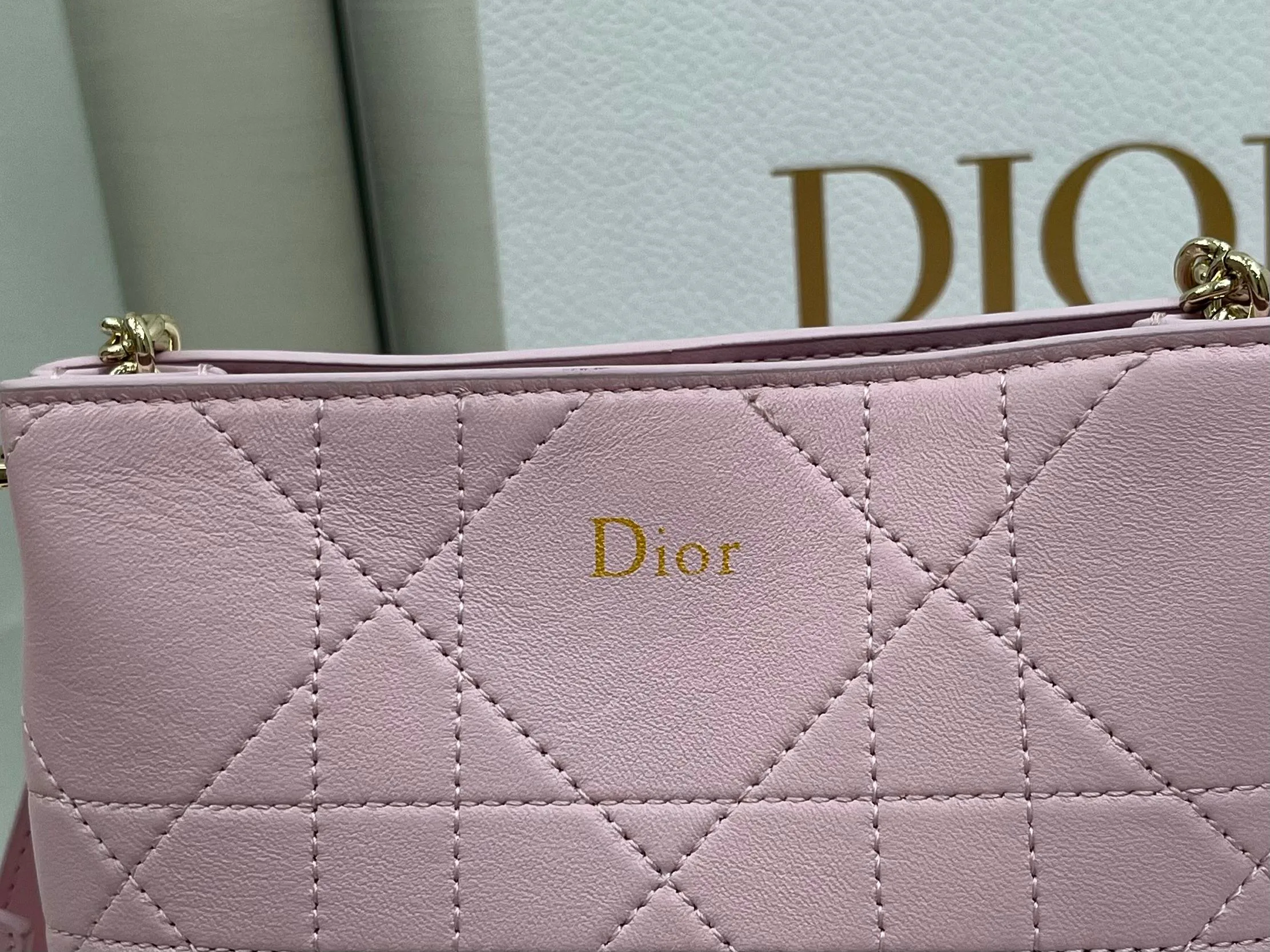 Классические Сумки Женские Christian Dior 13349529