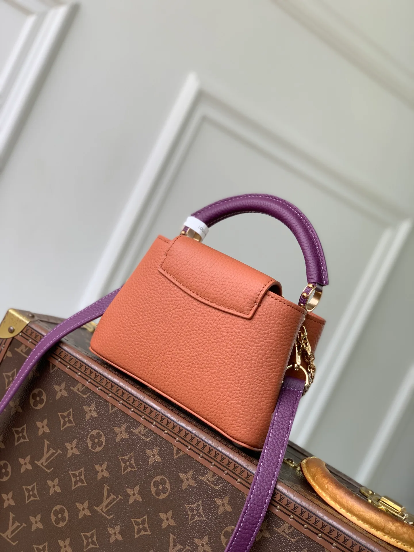 Классические Сумки Женские Louis Vuitton 18147580