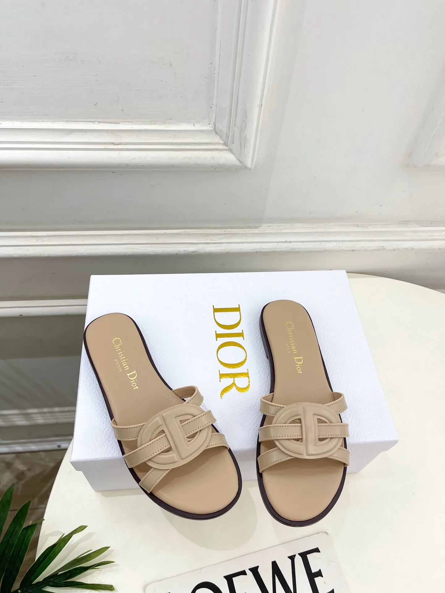 Туфли Женские Christian Dior 12601459