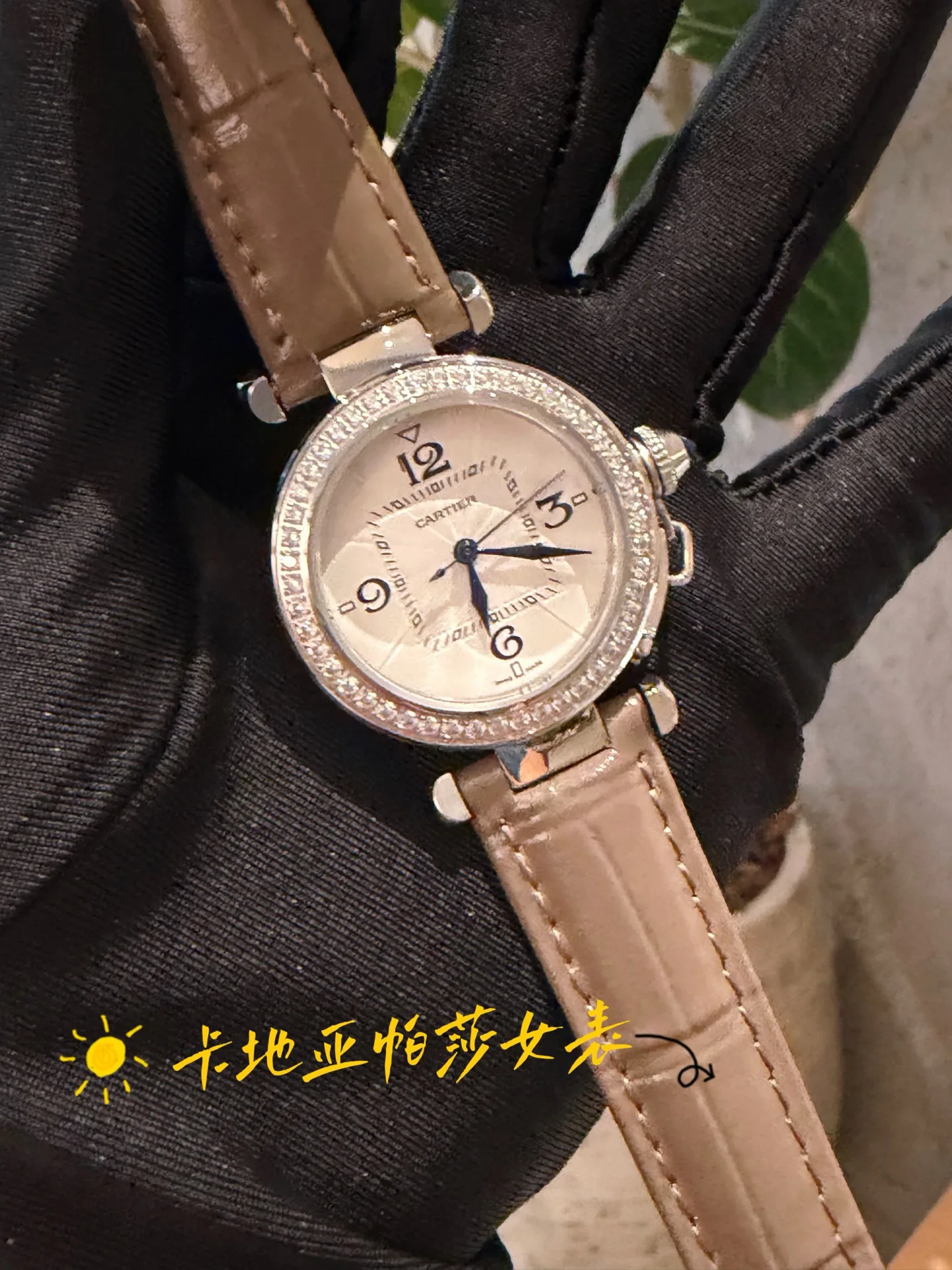 Часы Женские Cartier 16857719