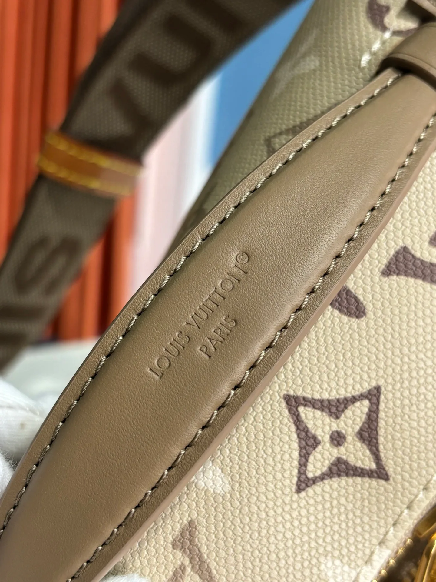 Поясные Сумки Женские Louis Vuitton 14428736