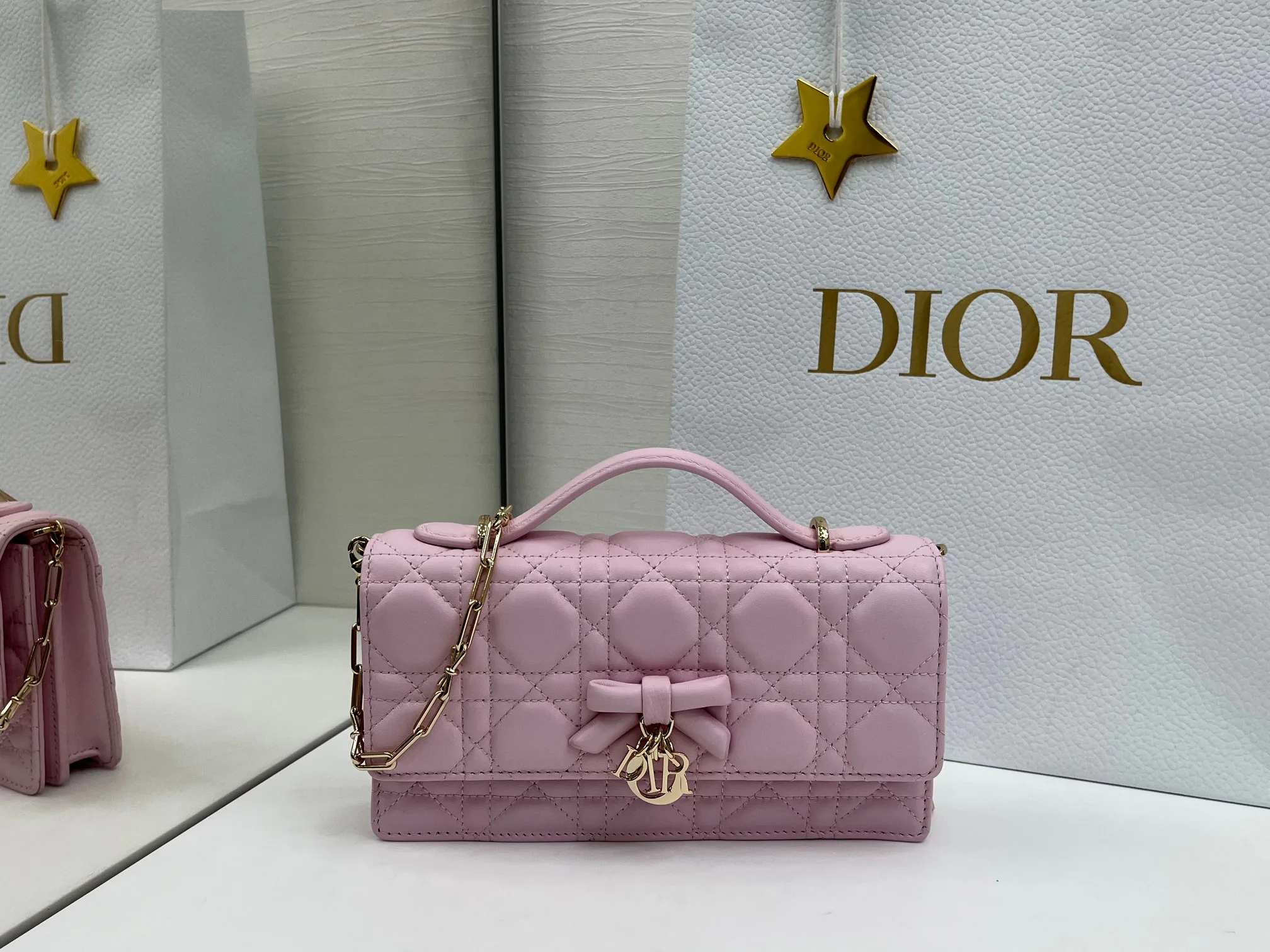 Классические Сумки Женские Christian Dior 11669067