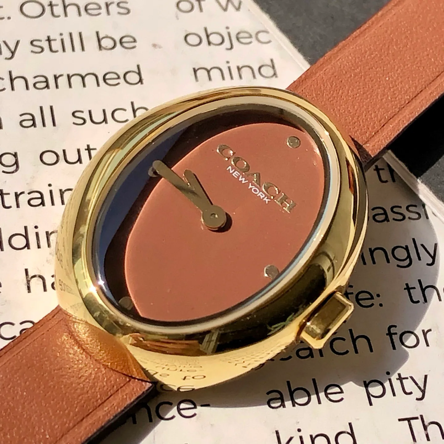 Часы Женские Coach 449052