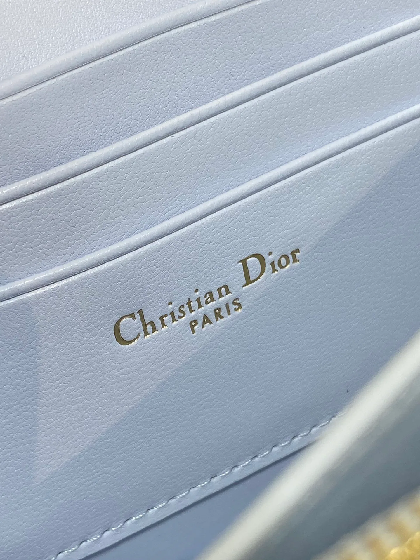Сумки На Ремне Женские Christian Dior 475487