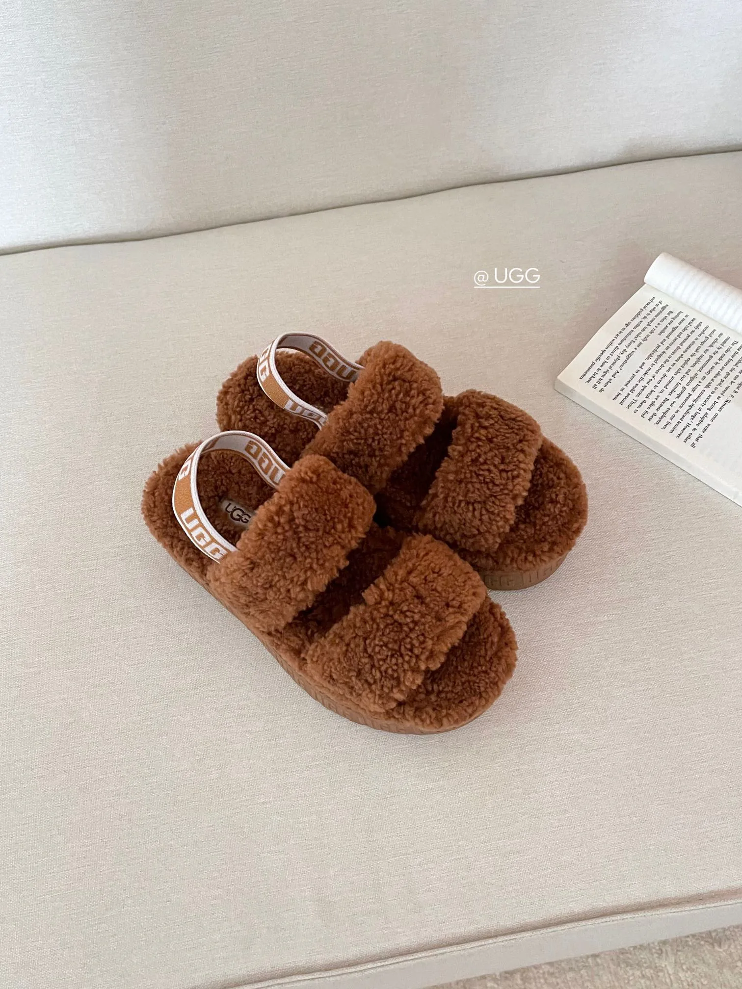 Тапочки Женские Ugg 302062