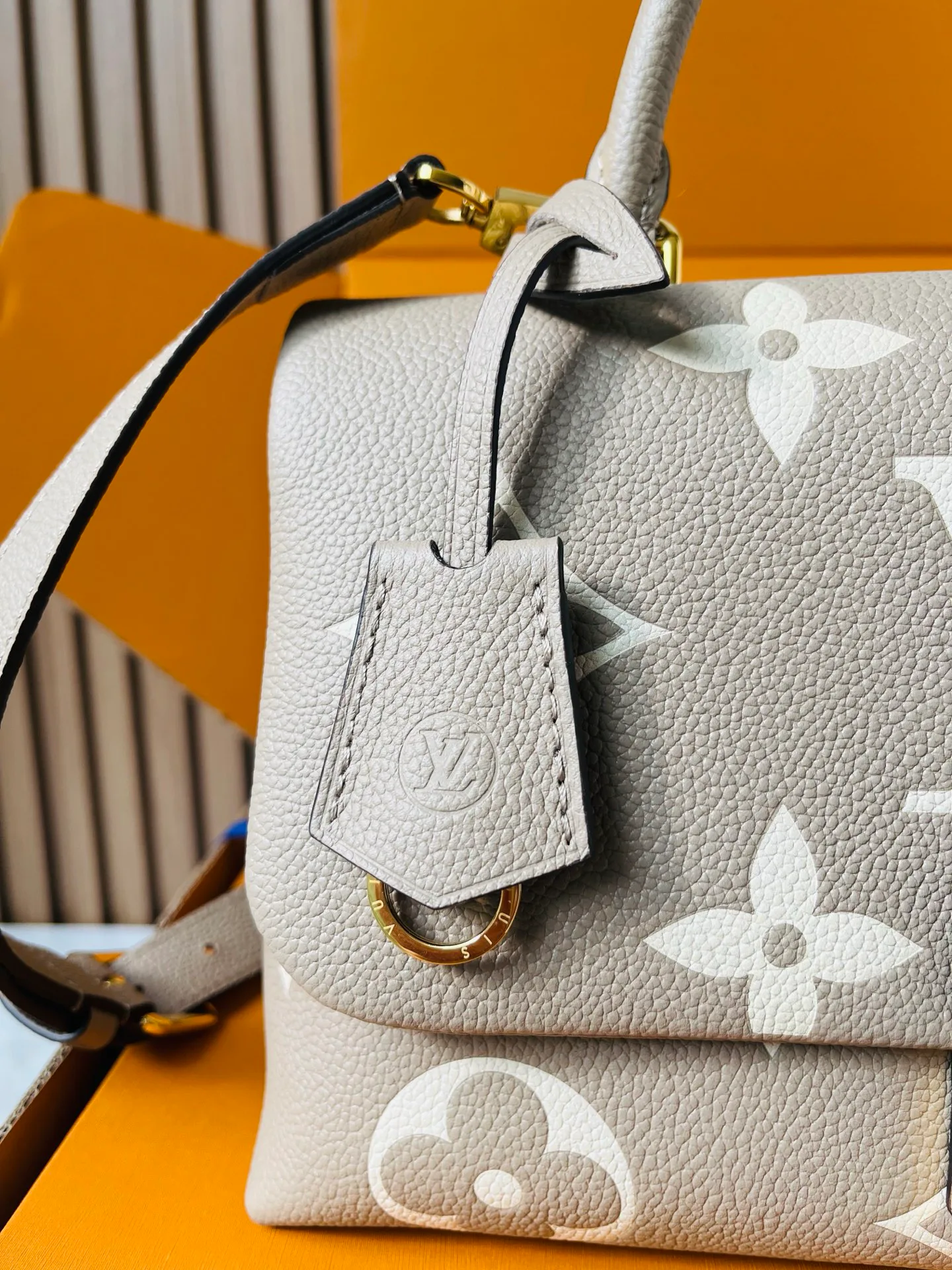 Классические Сумки Женские Louis Vuitton 12860029