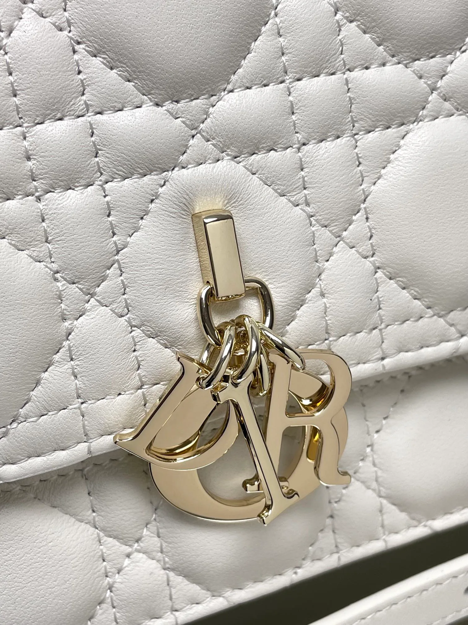 Сумки На Ремне Женские Christian Dior 23708